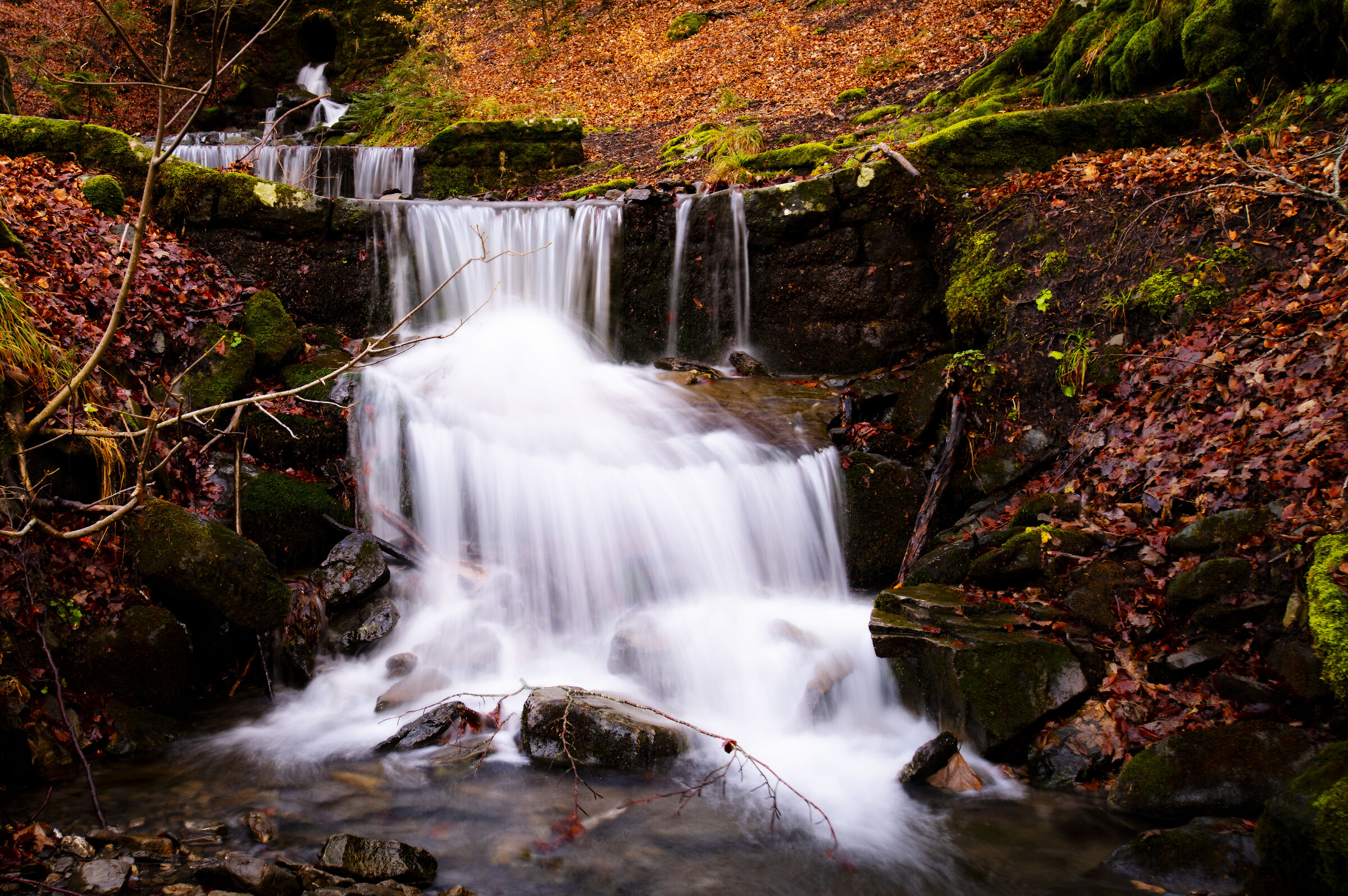 Acqua