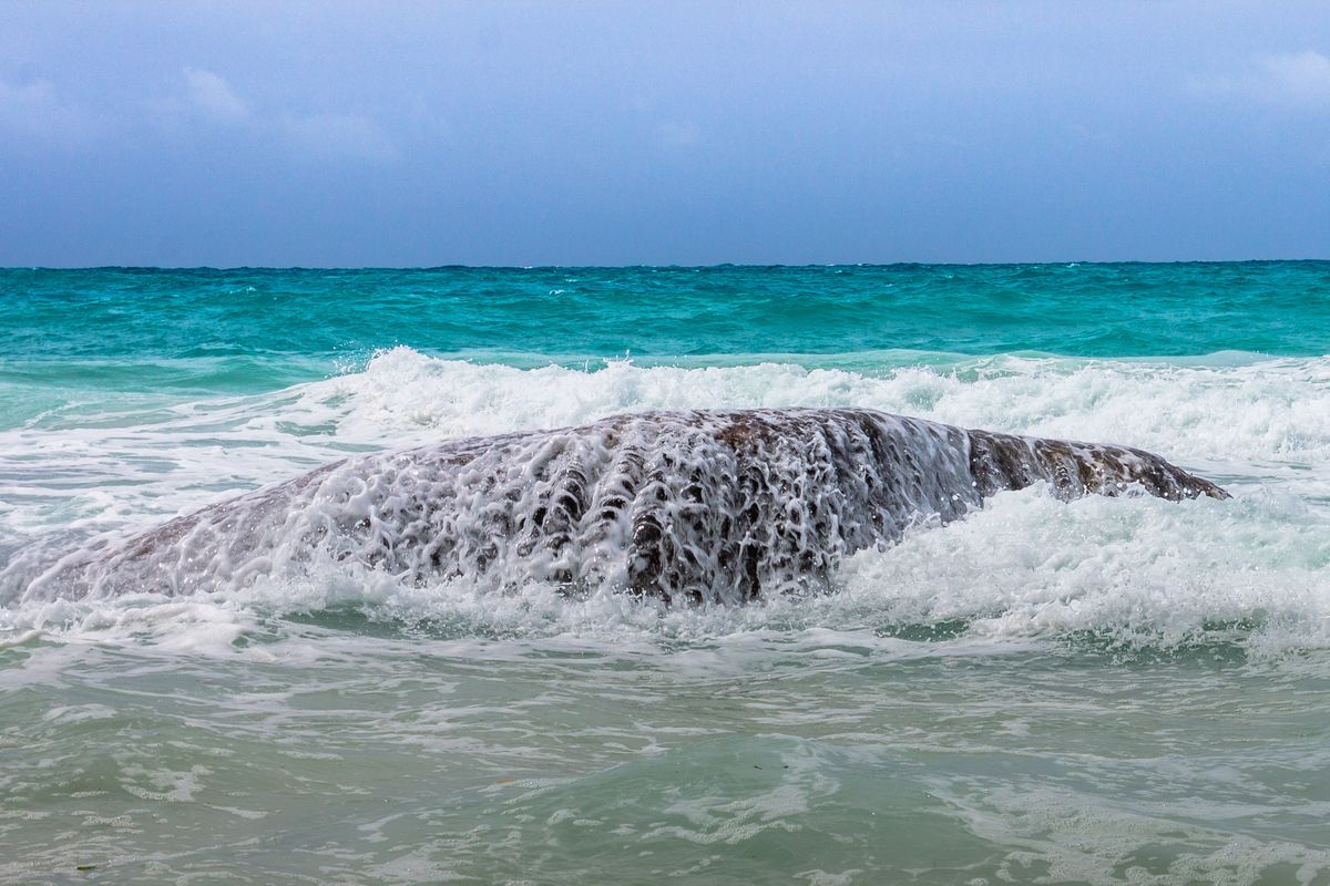 Seychelles - Praslin - Lazio beach