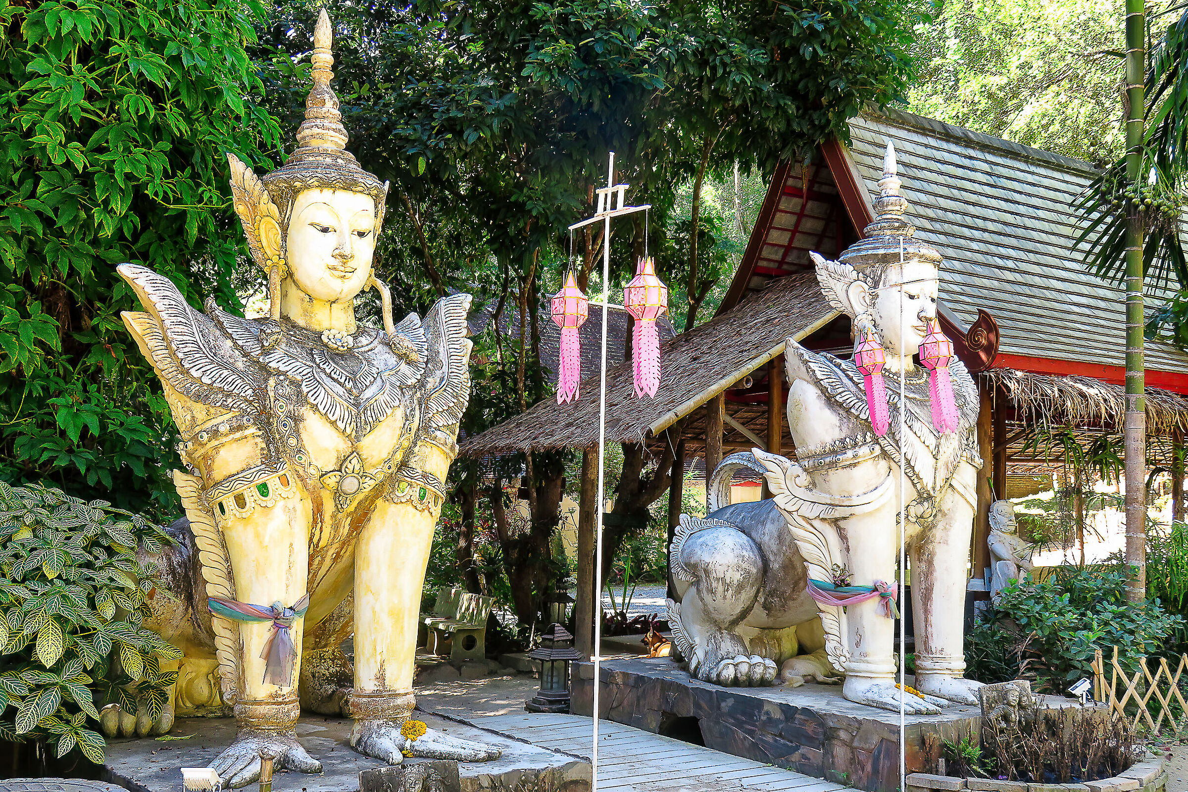 Chiang Mai