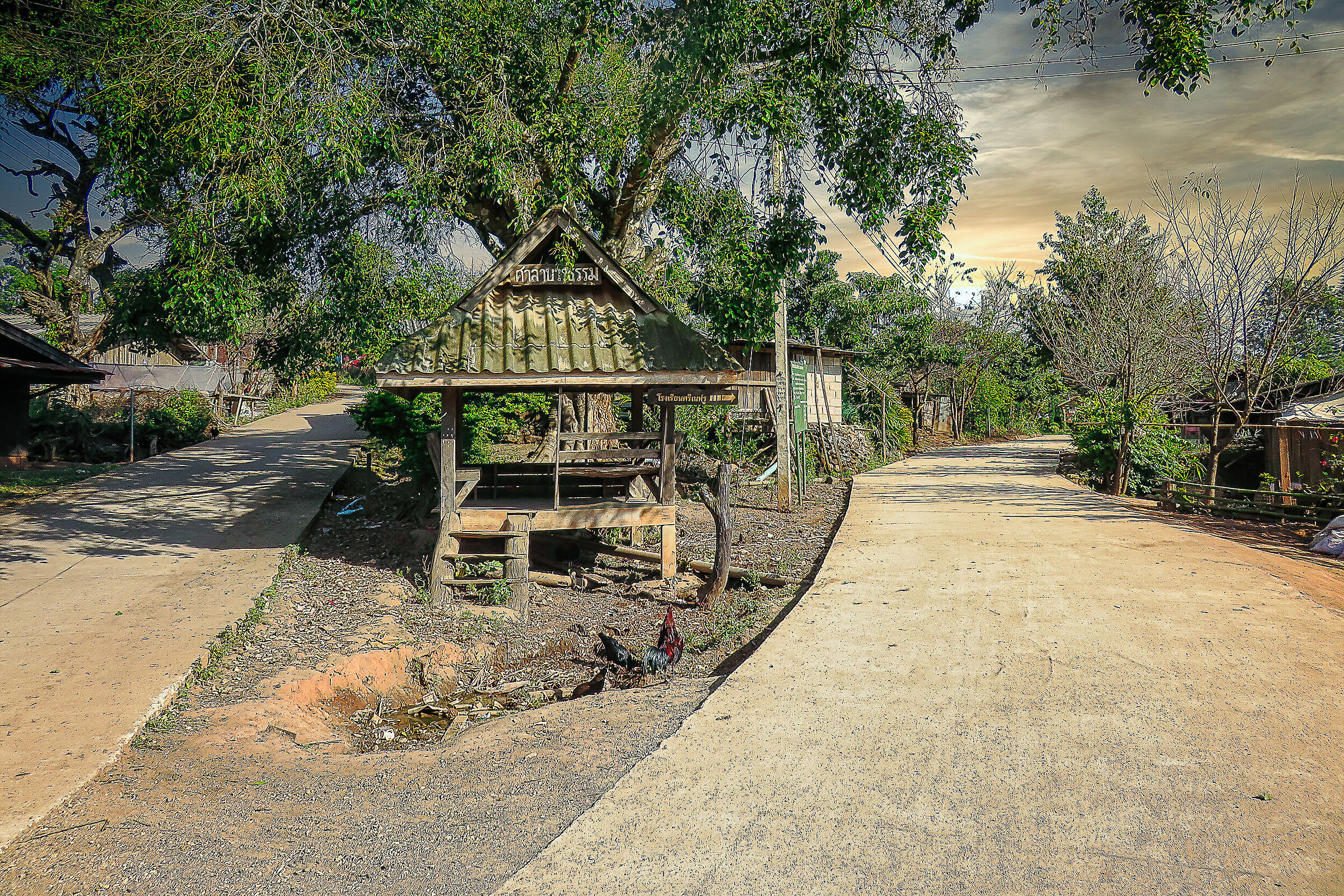 Chiang Mai