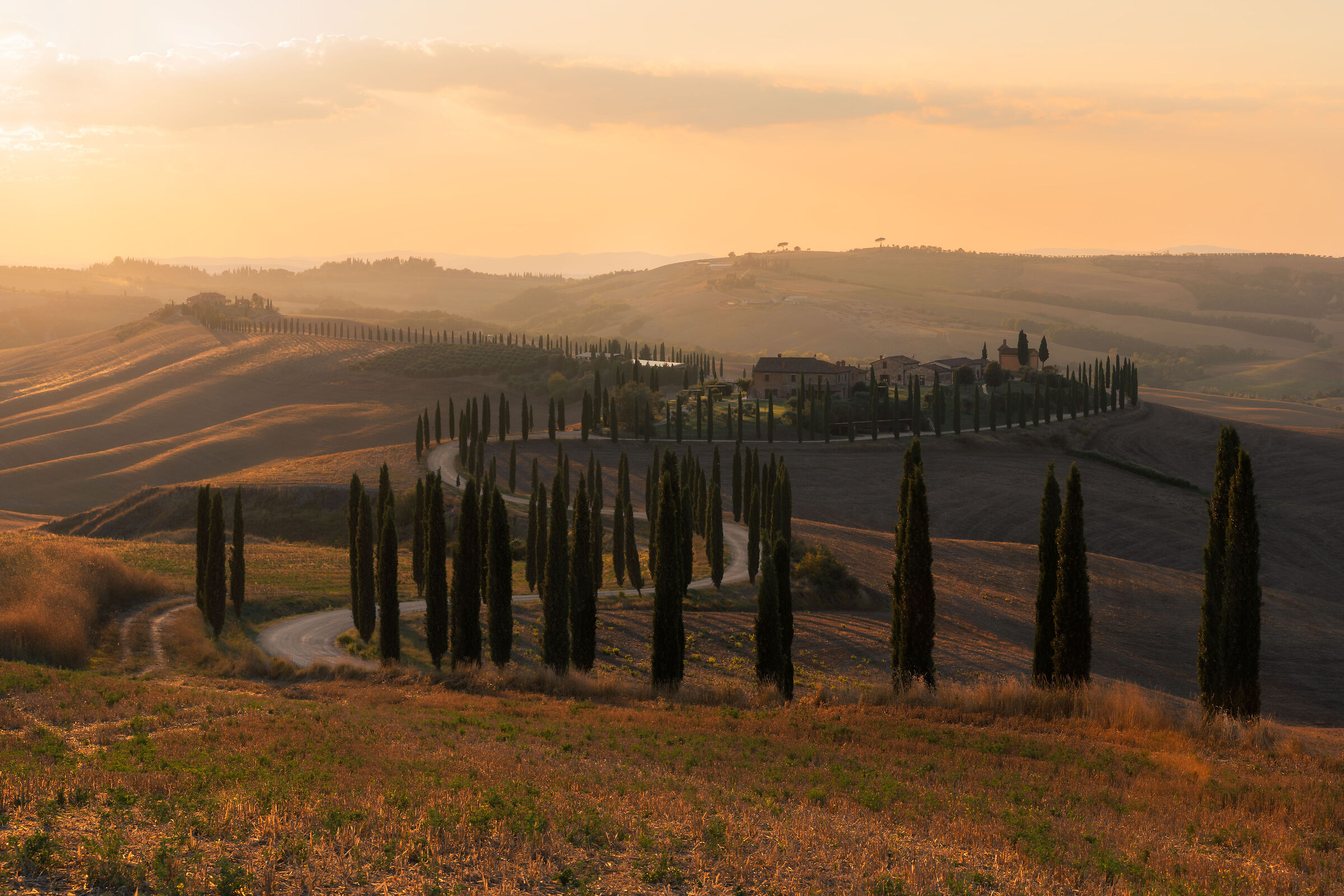 Tuscany Dream