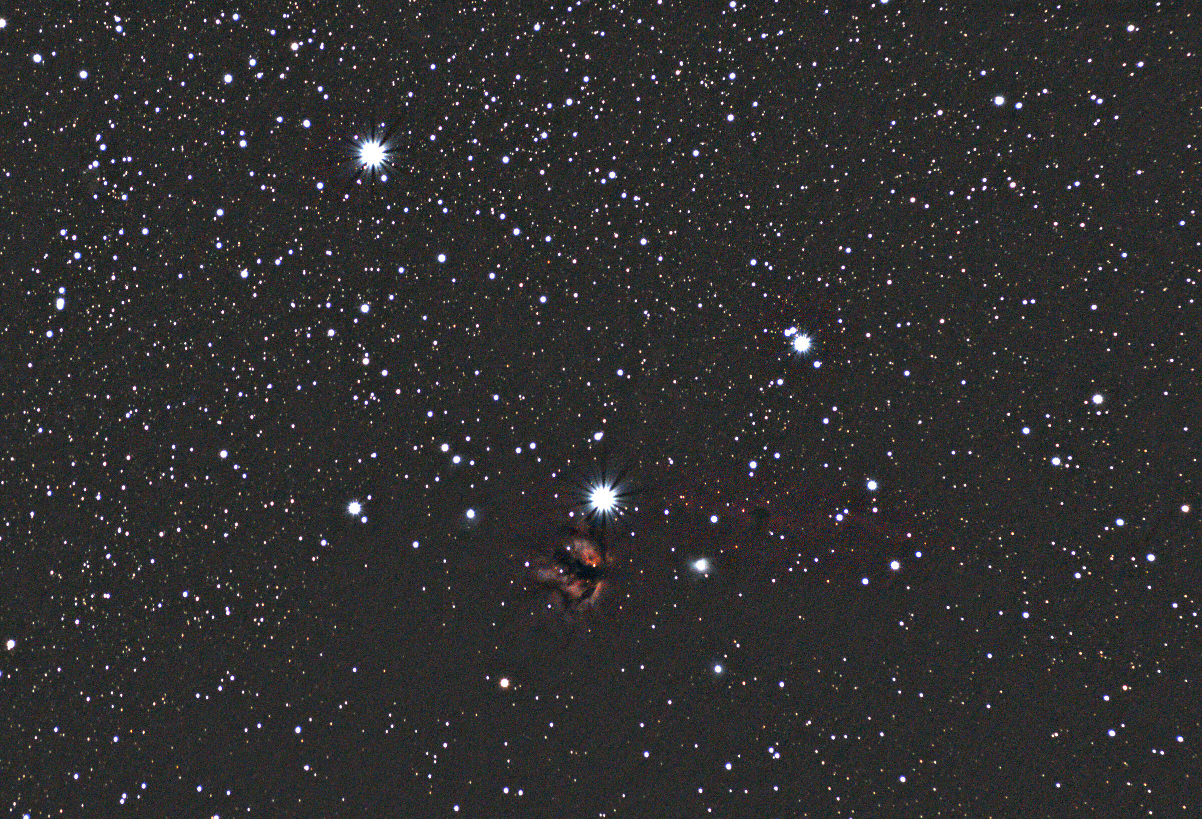 Horse's head and flame