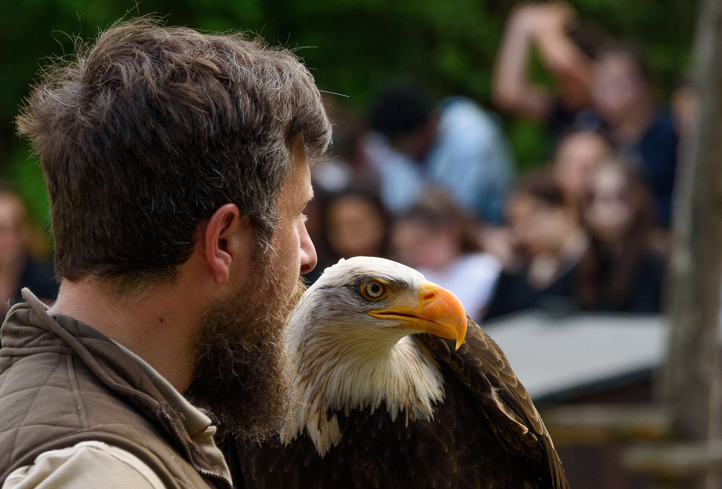 L'aquila e il falconiere