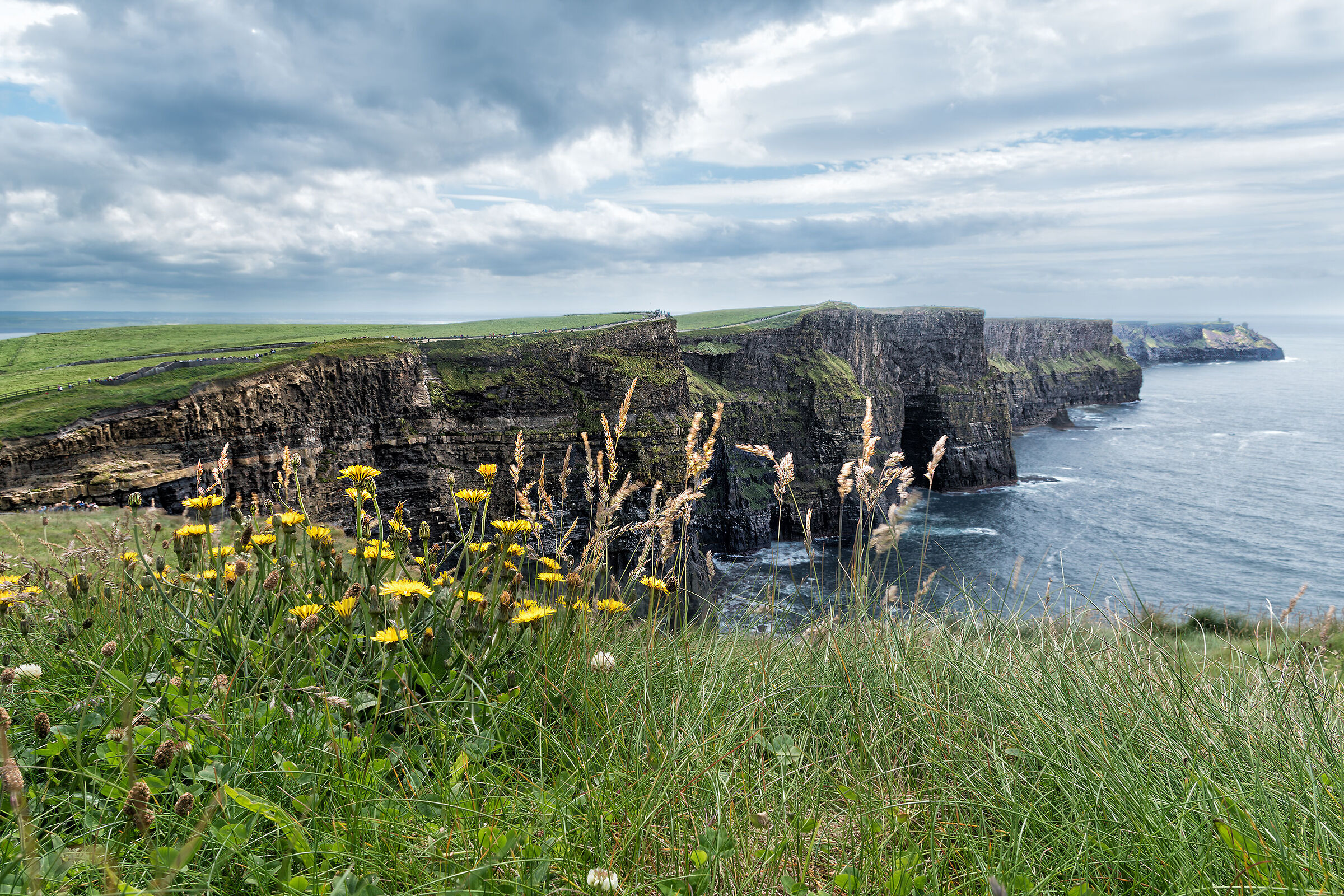 Cliffs of Moher
