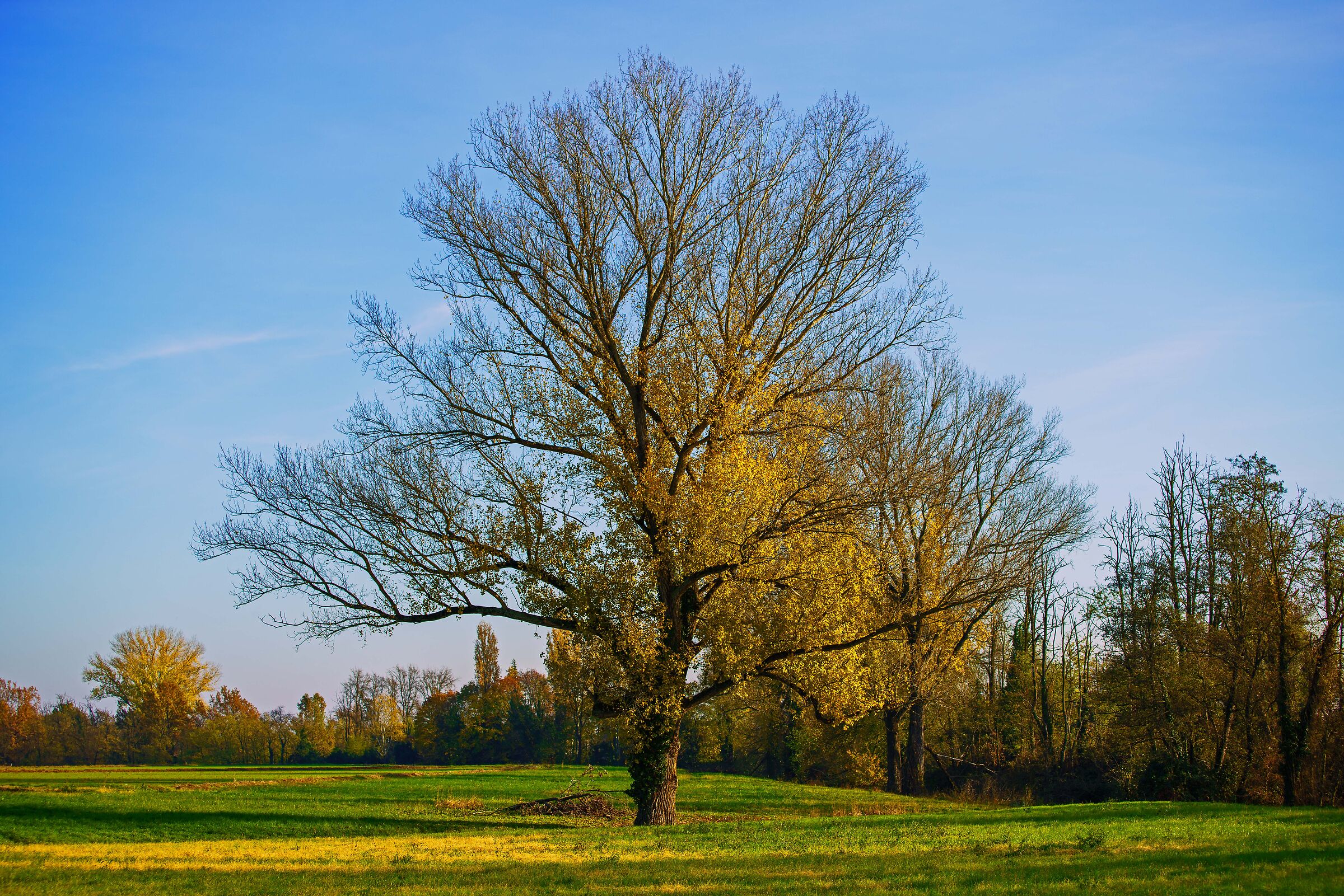 Primavera o Autunno