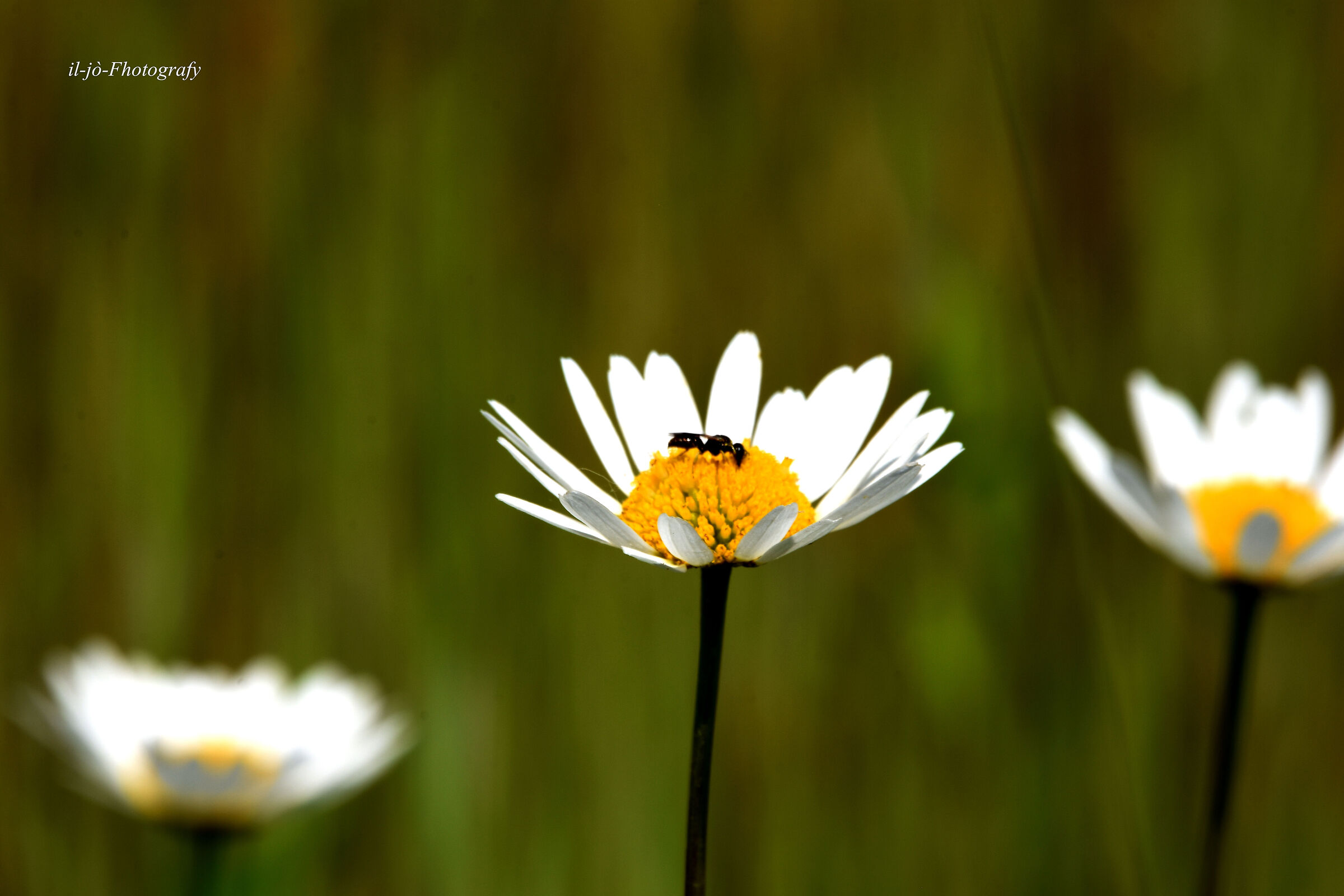 Untitled Photo