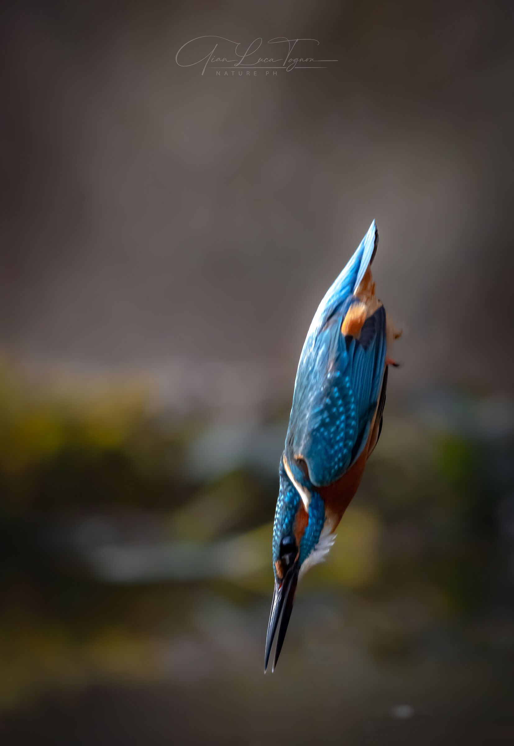 aerodynamic study | Aerodynamic Study