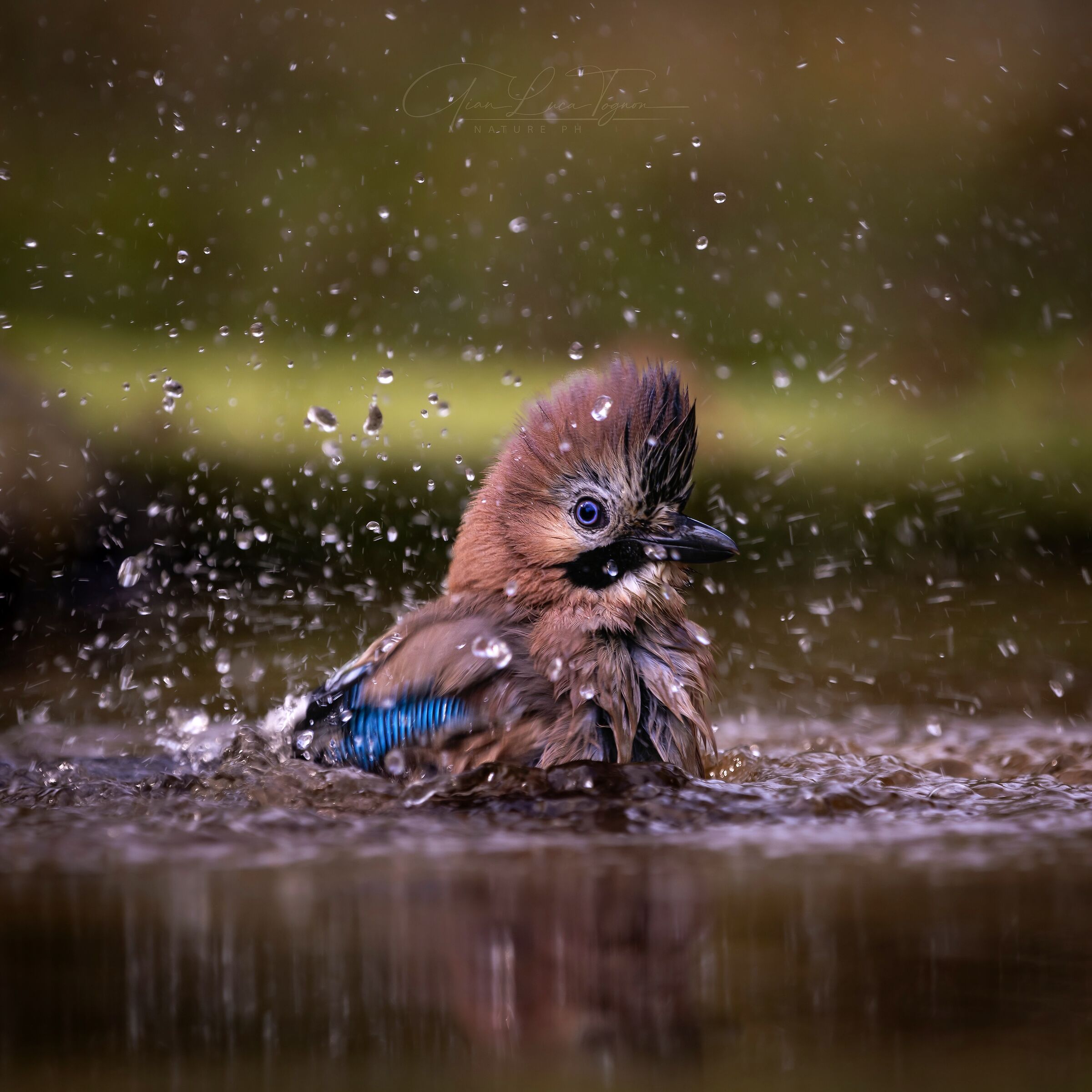 punk-bath