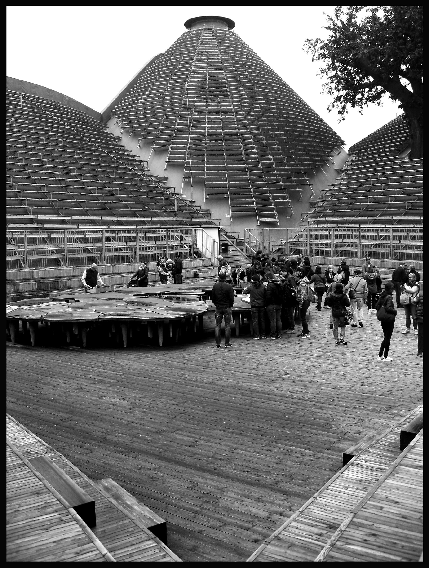 Tra le alte cime di bambù