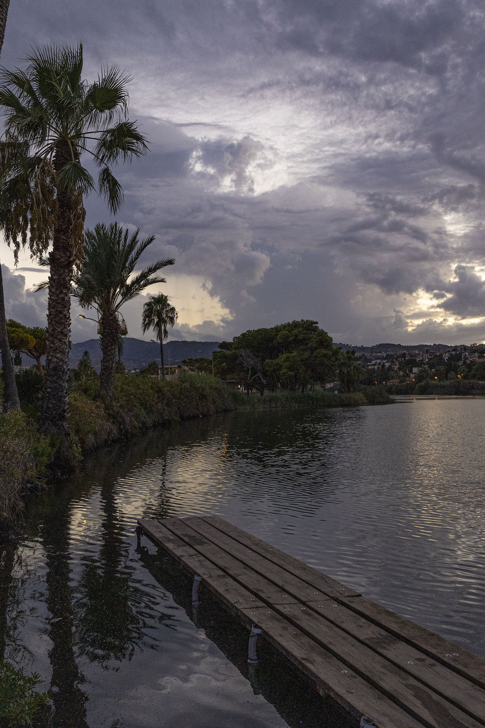 Grey evening on the pond