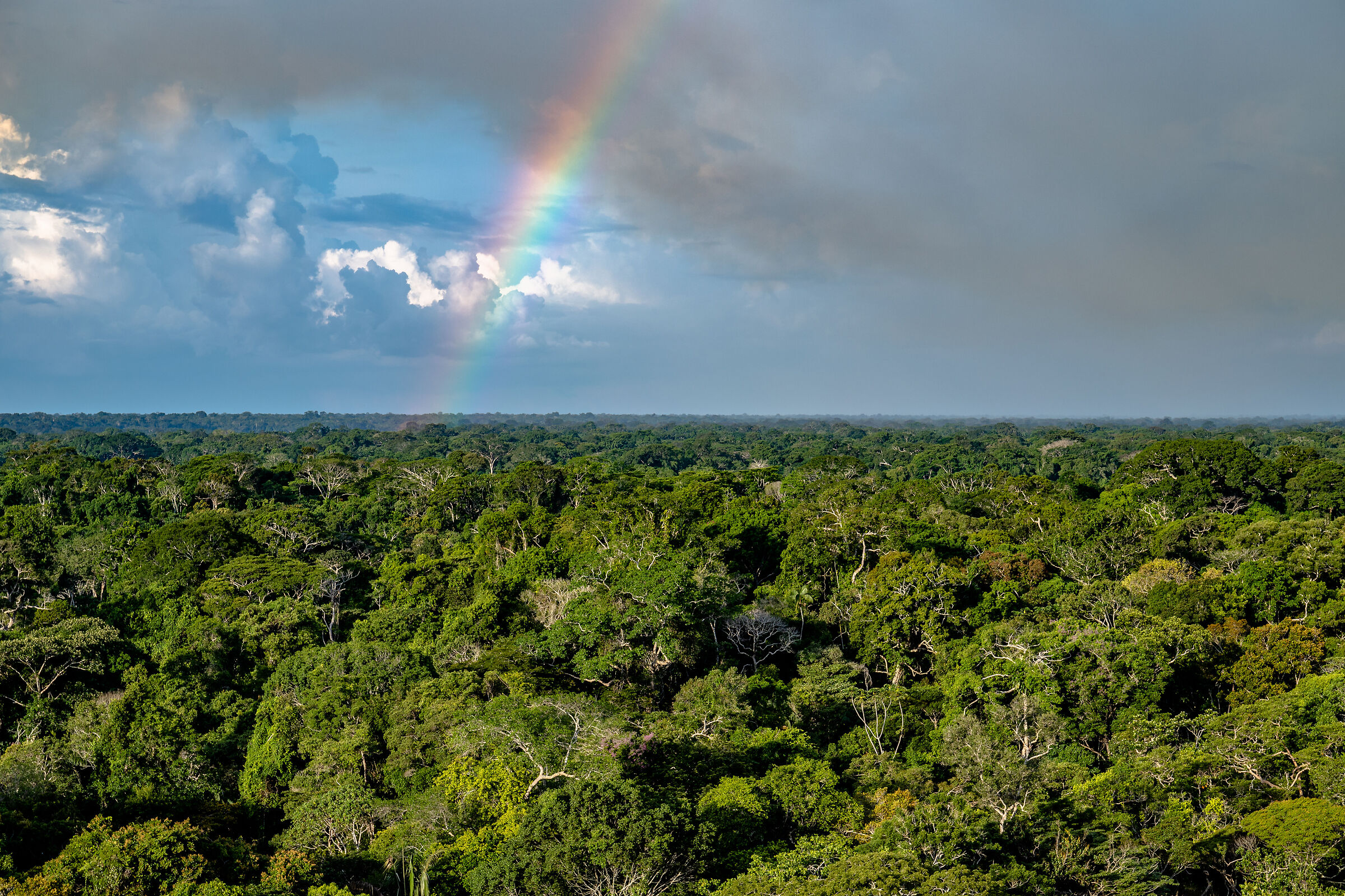 Peruvian Amazon