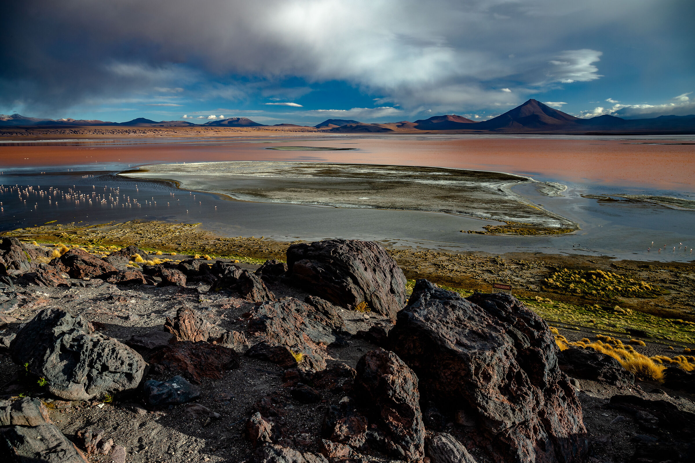 Laguna Colorada
