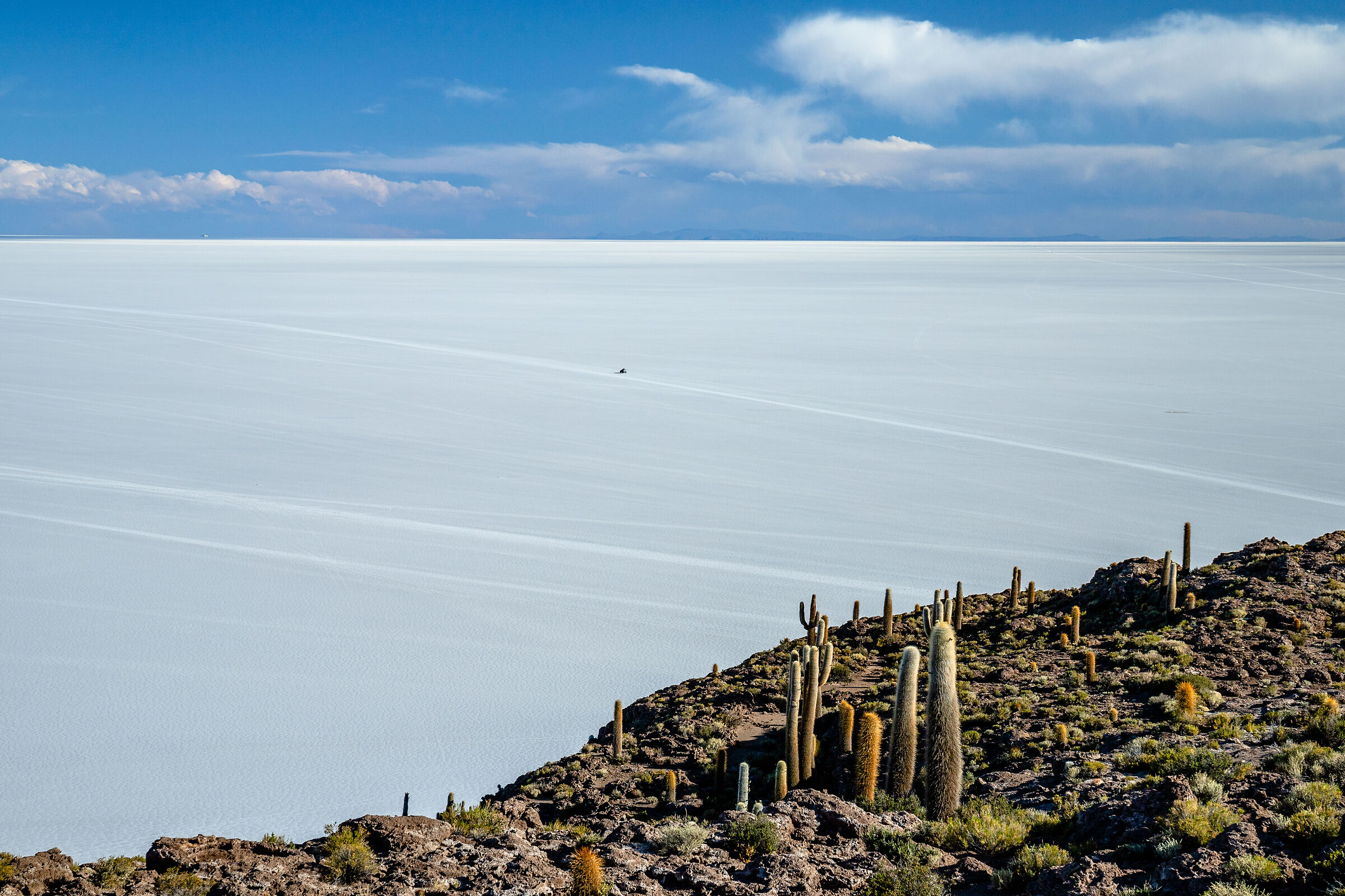 Endless expanses of salt