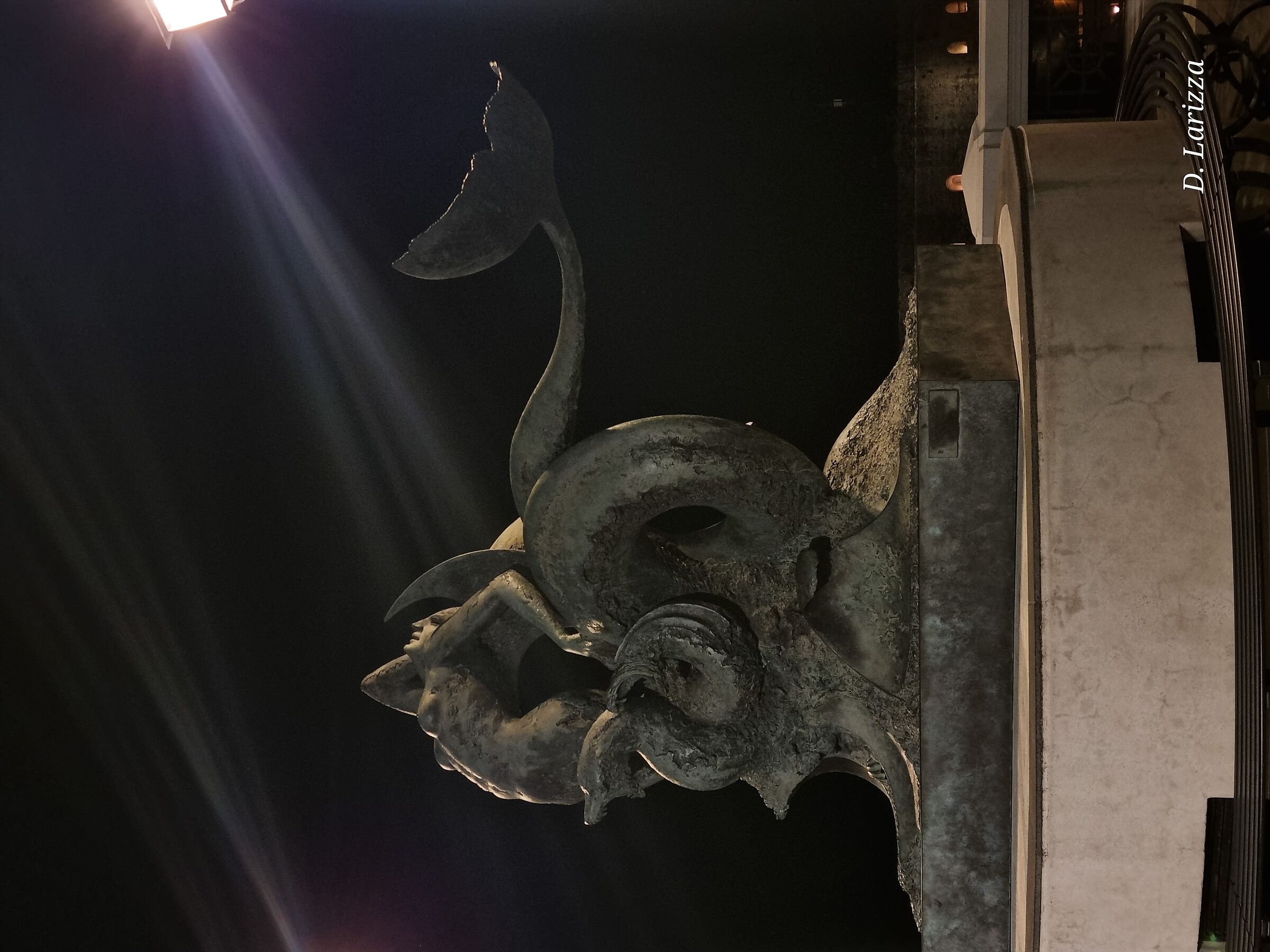 Scylla