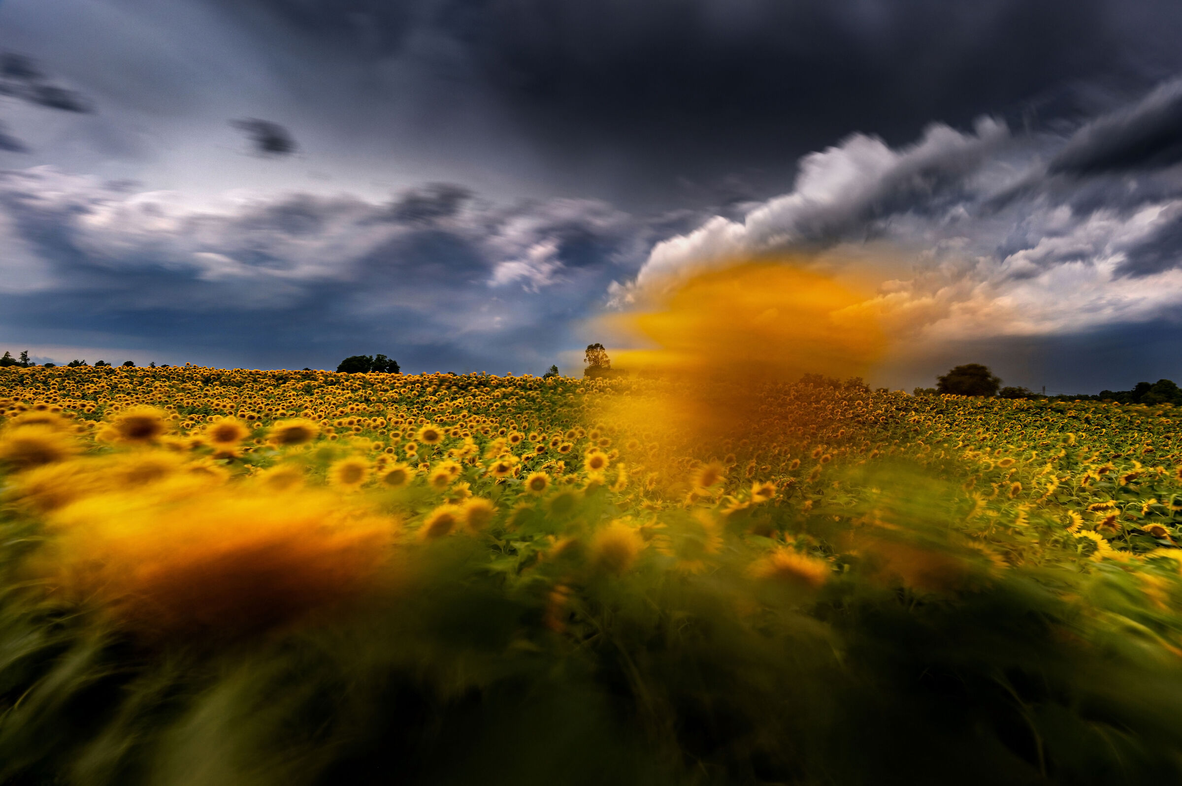 The storm is coming.