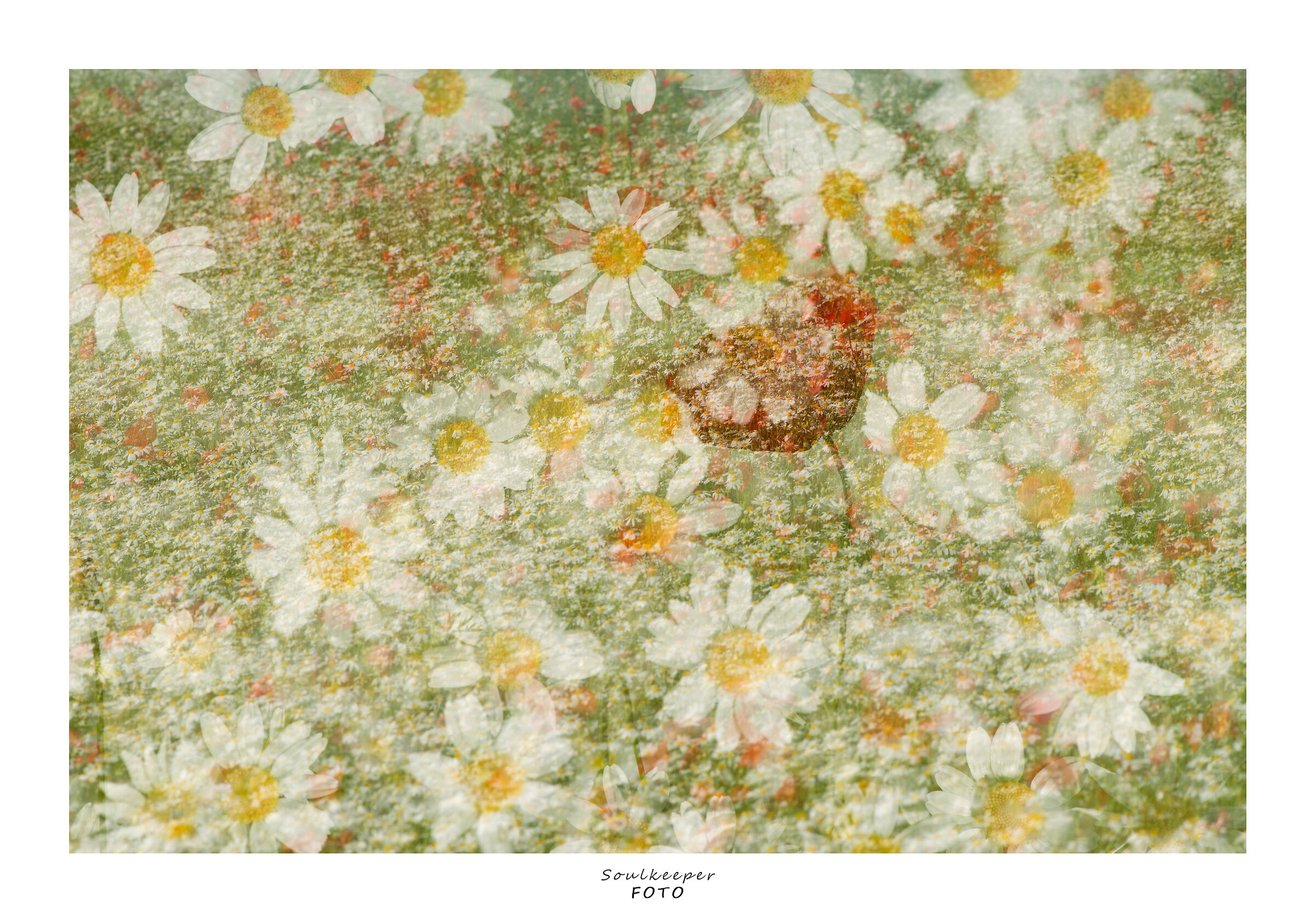 A/Excerpt... of spring.