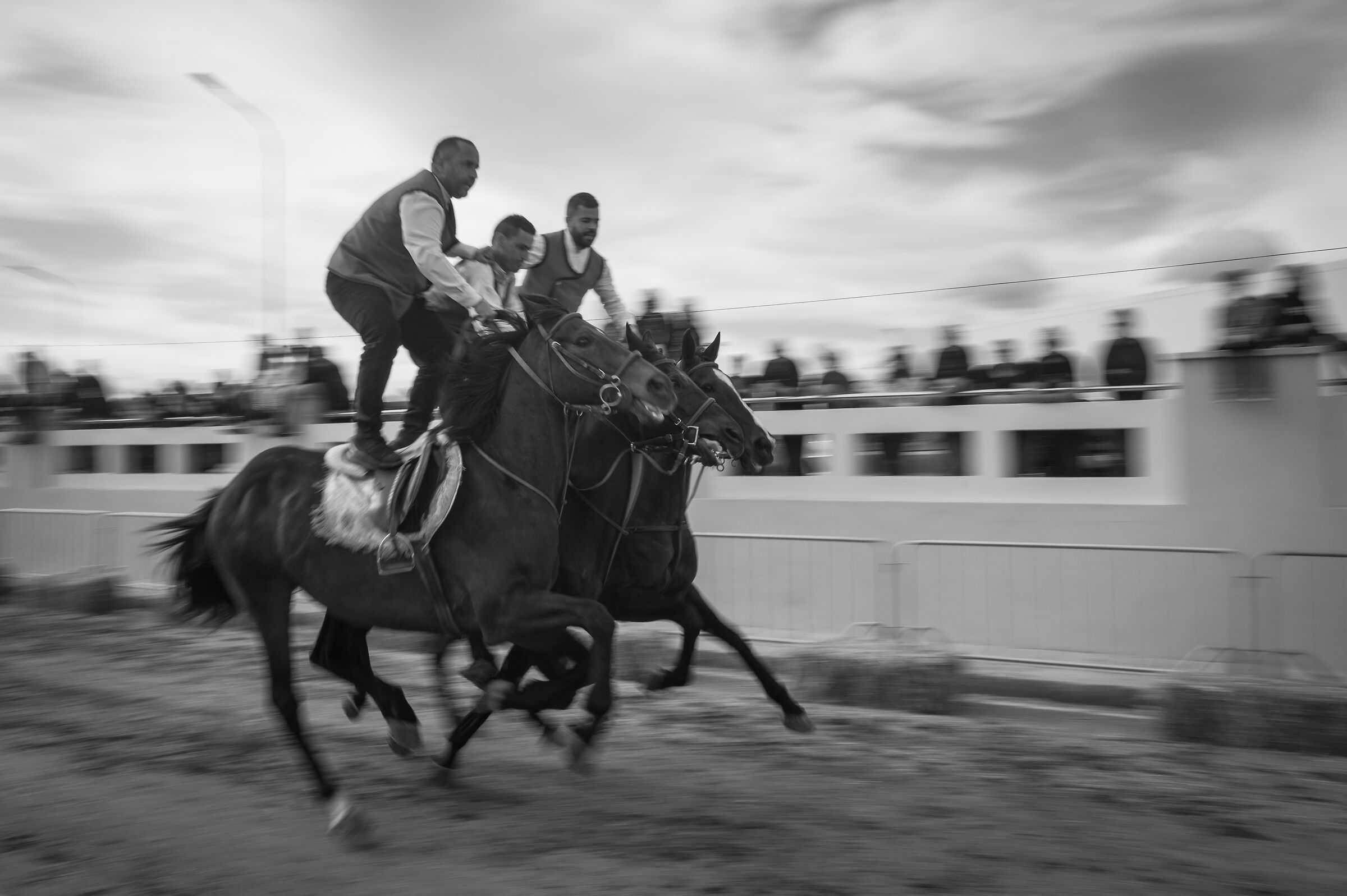 Palio of Gallura