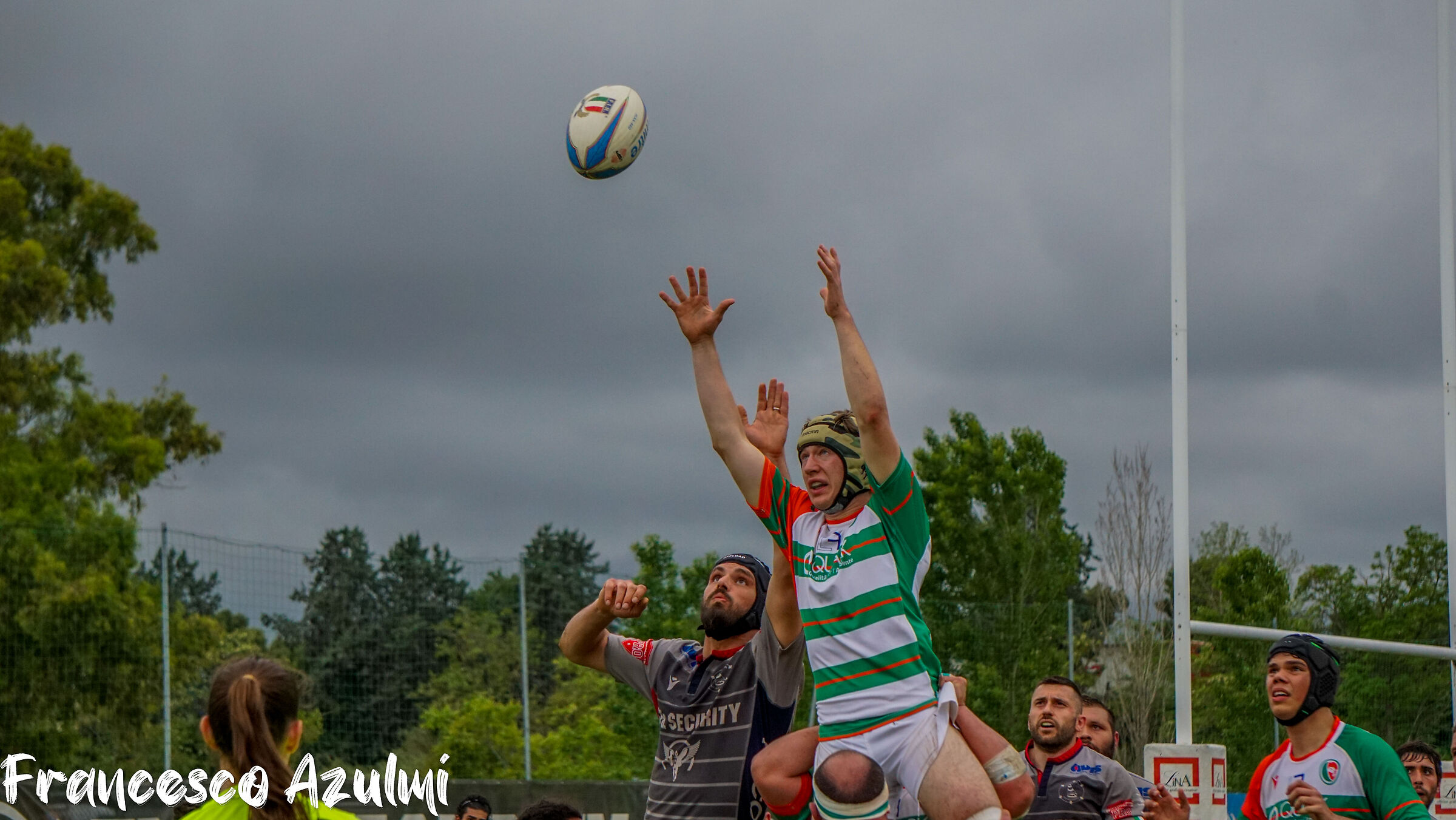 Coppa Marche rugby