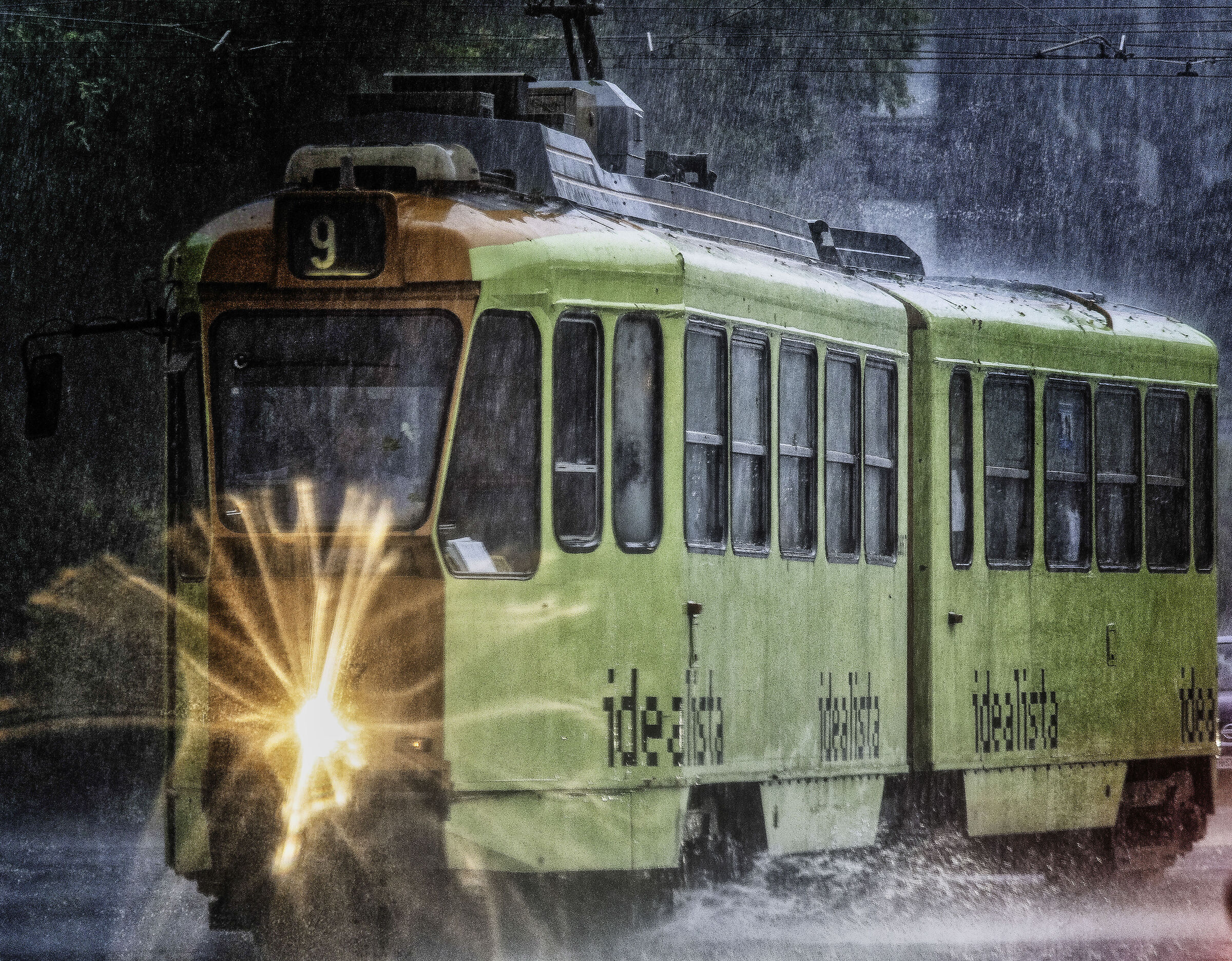 The trams of Turin