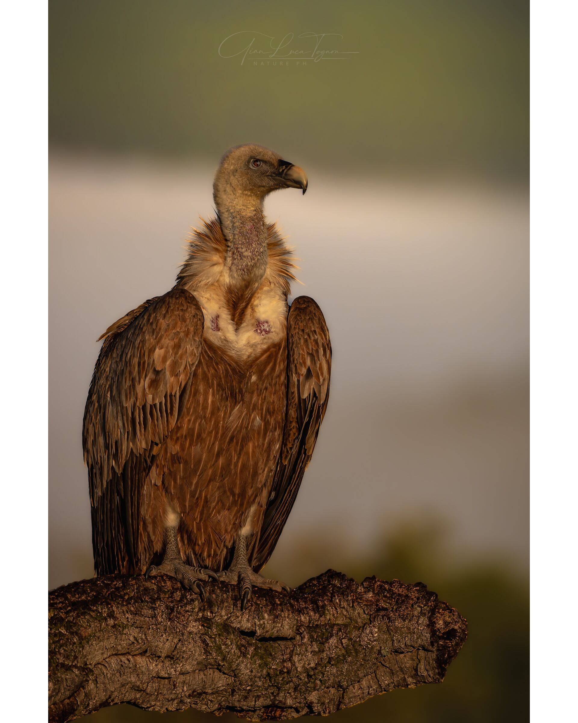 with grim look | glaring