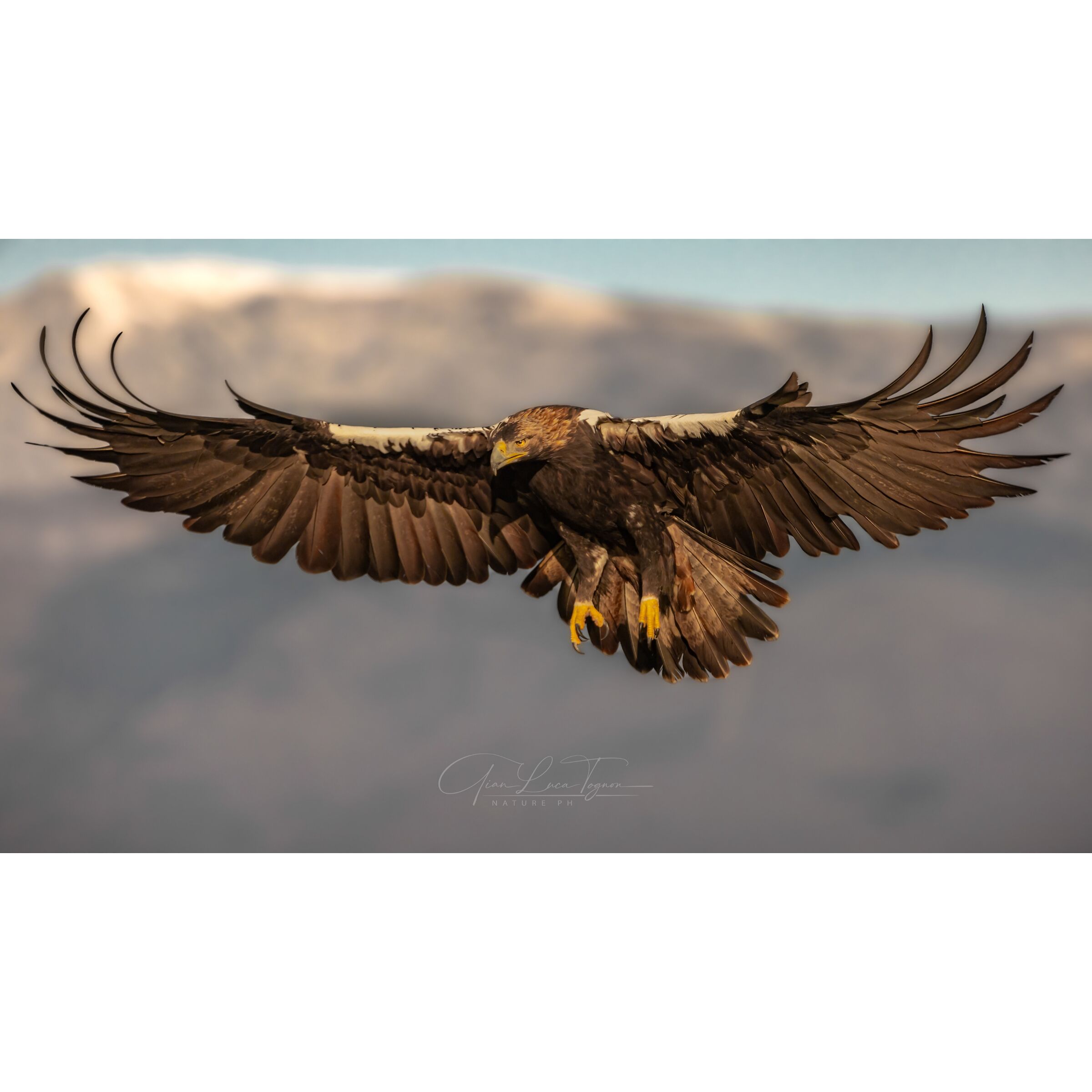 tutti gli imperi non sono altro che potere in azione