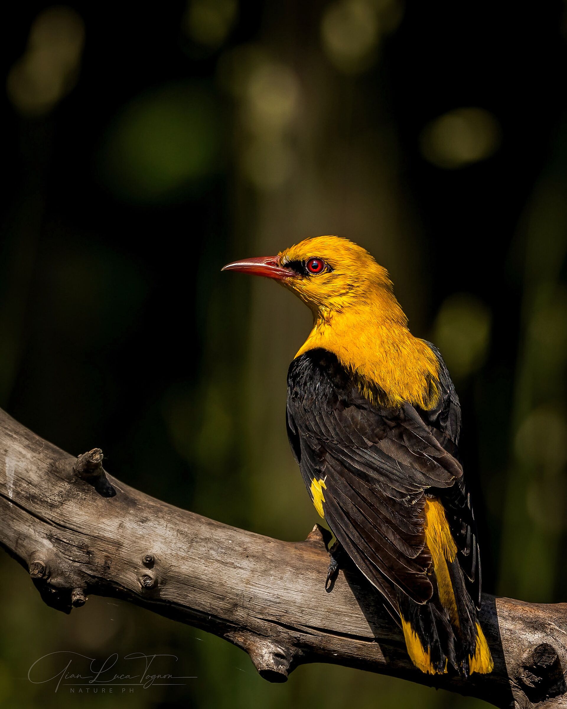 Cura il tuo aspetto: chi ha detto che l'amore è c...