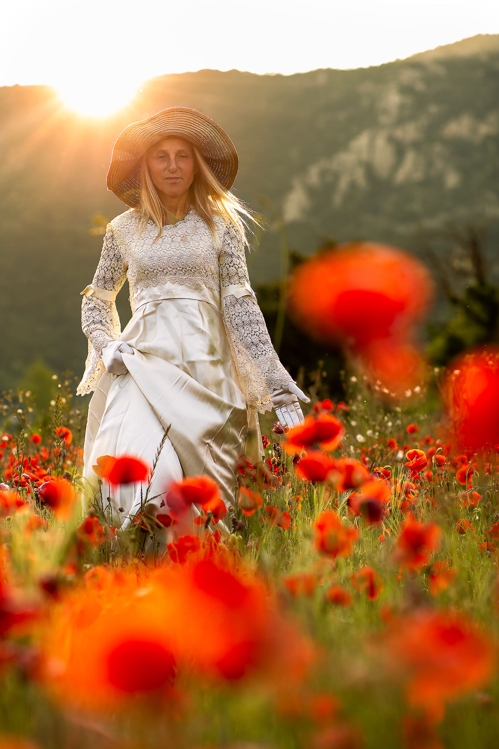 Papaveri al tramonto