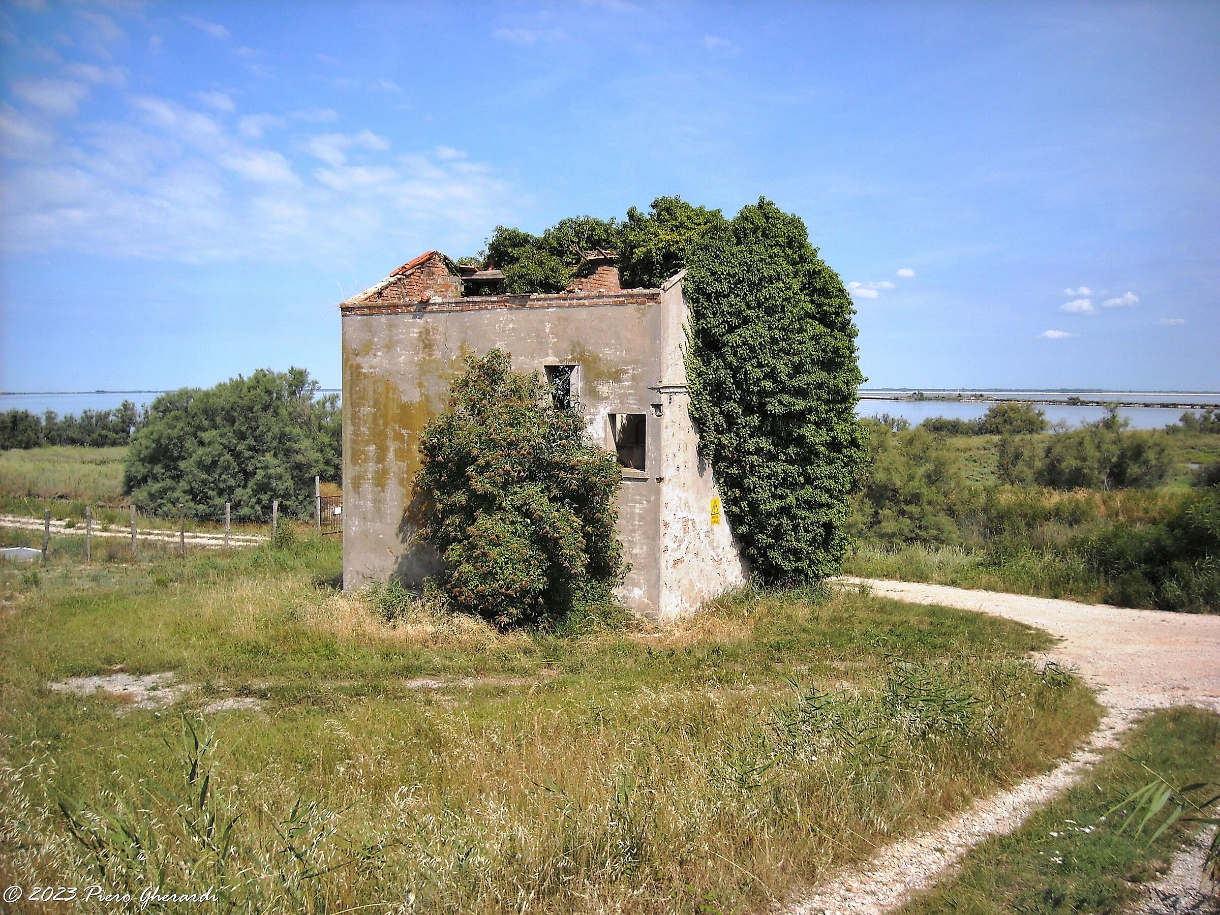 Ruderi