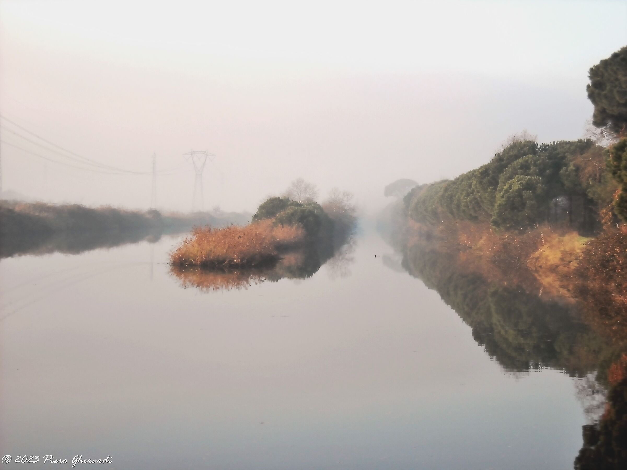 Nebbia