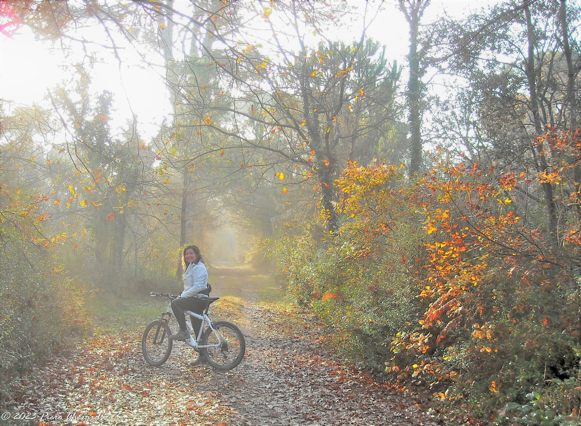 Nebbia
