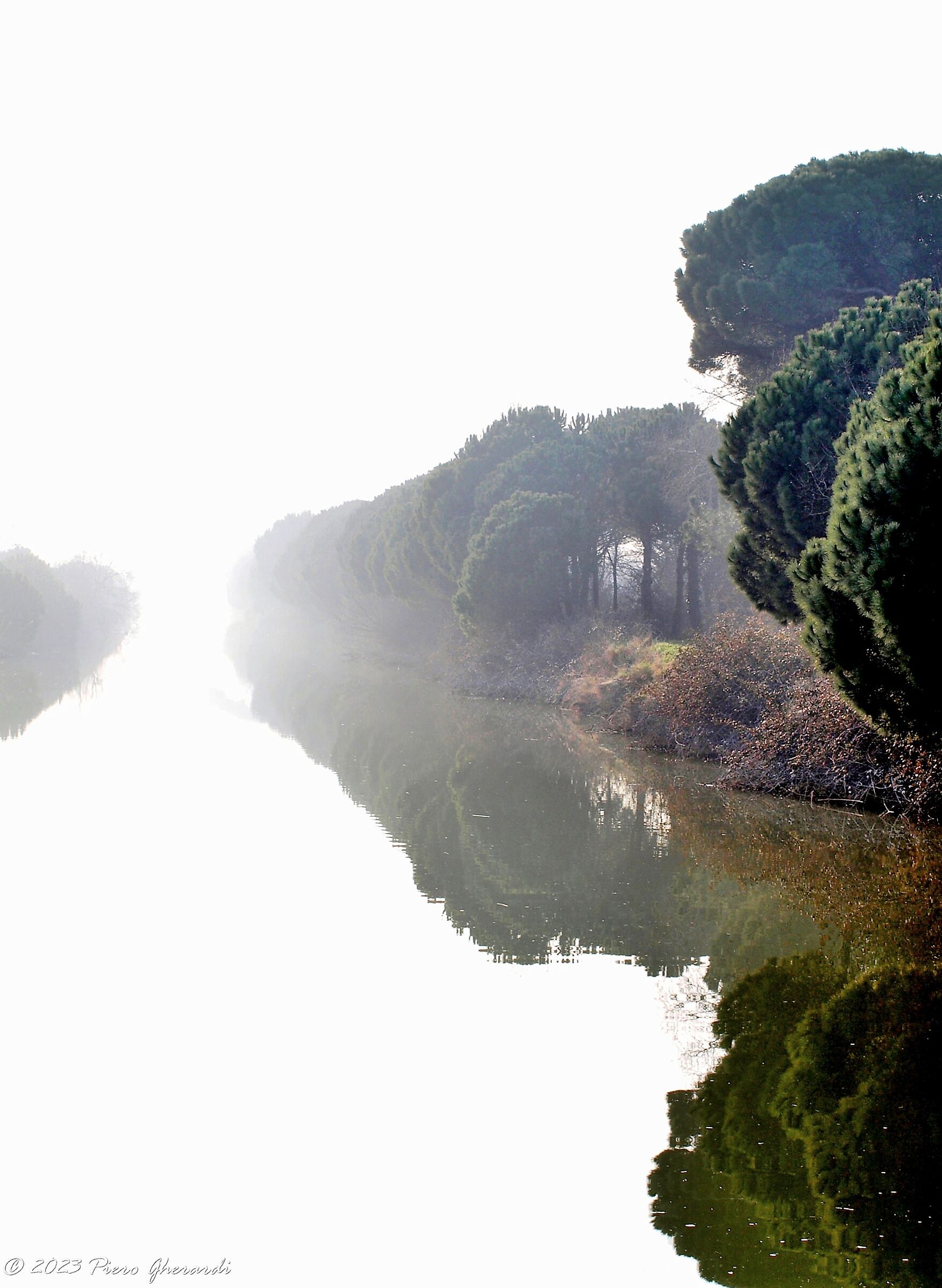 Nebbia