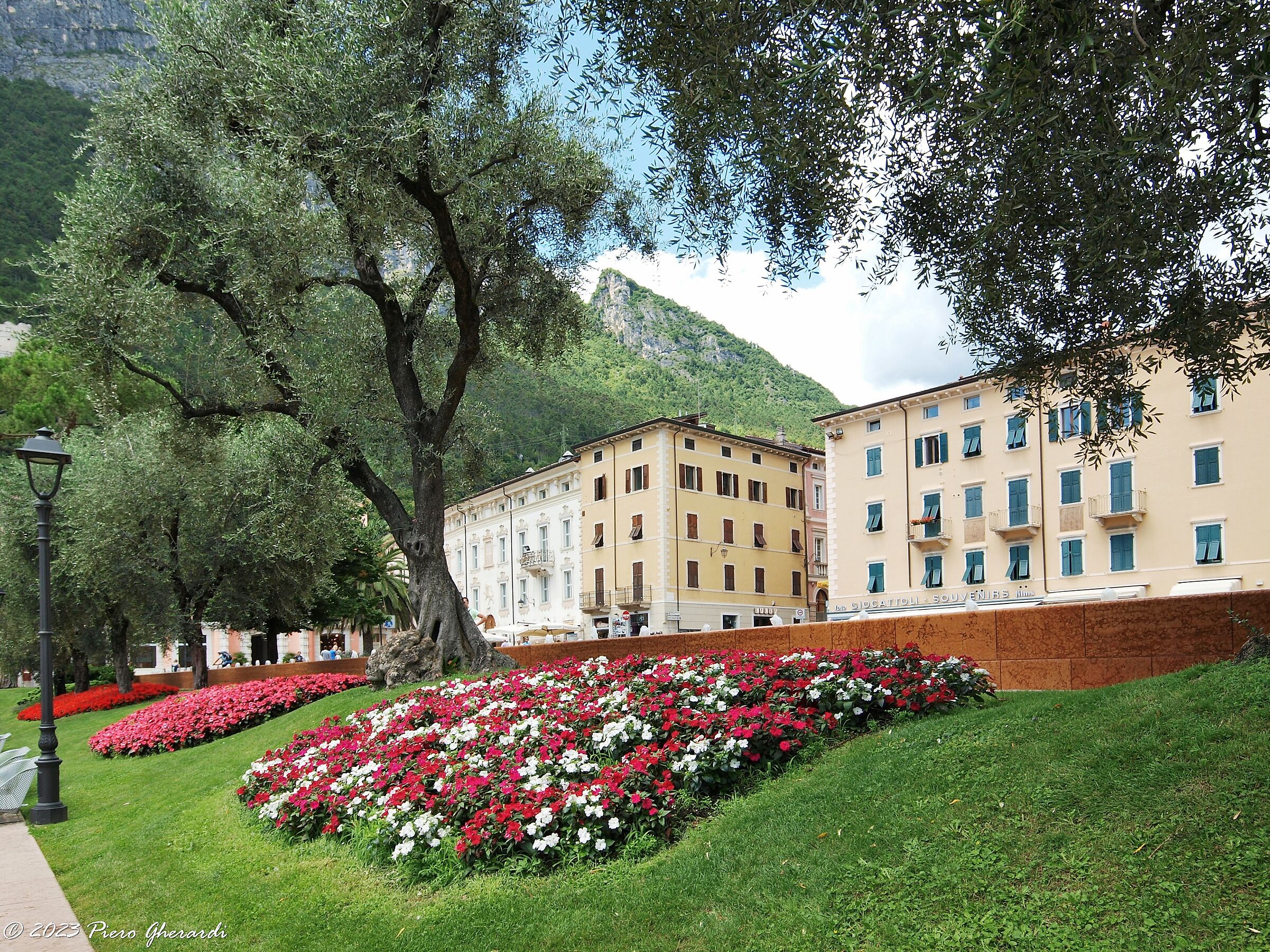 Viaggi