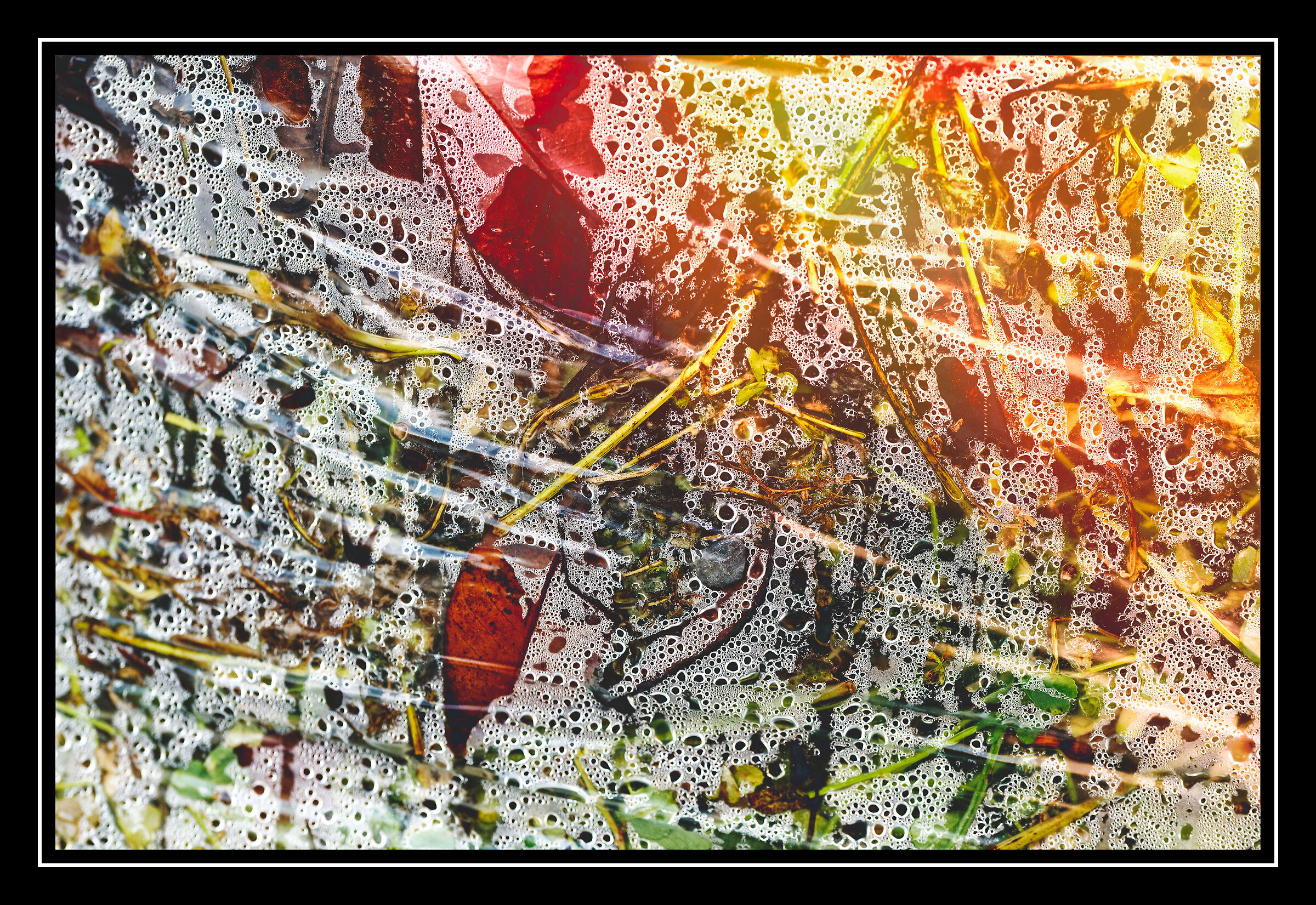 Abstraction of a garden