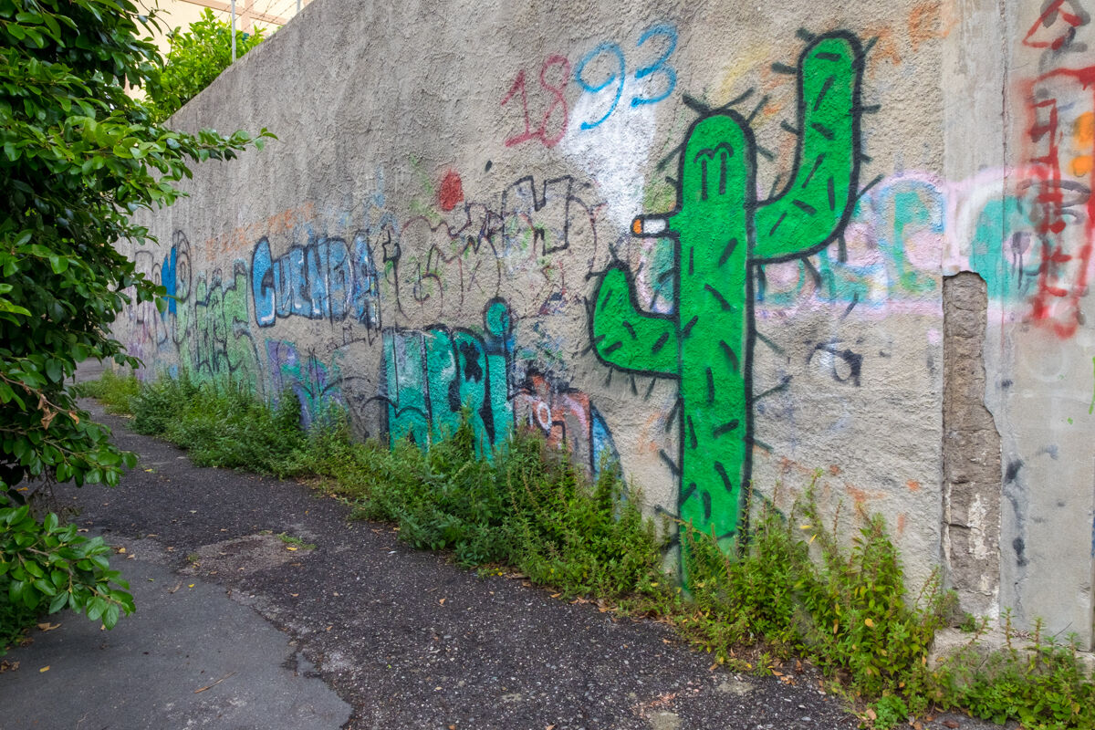 Graffiti 1, Genova