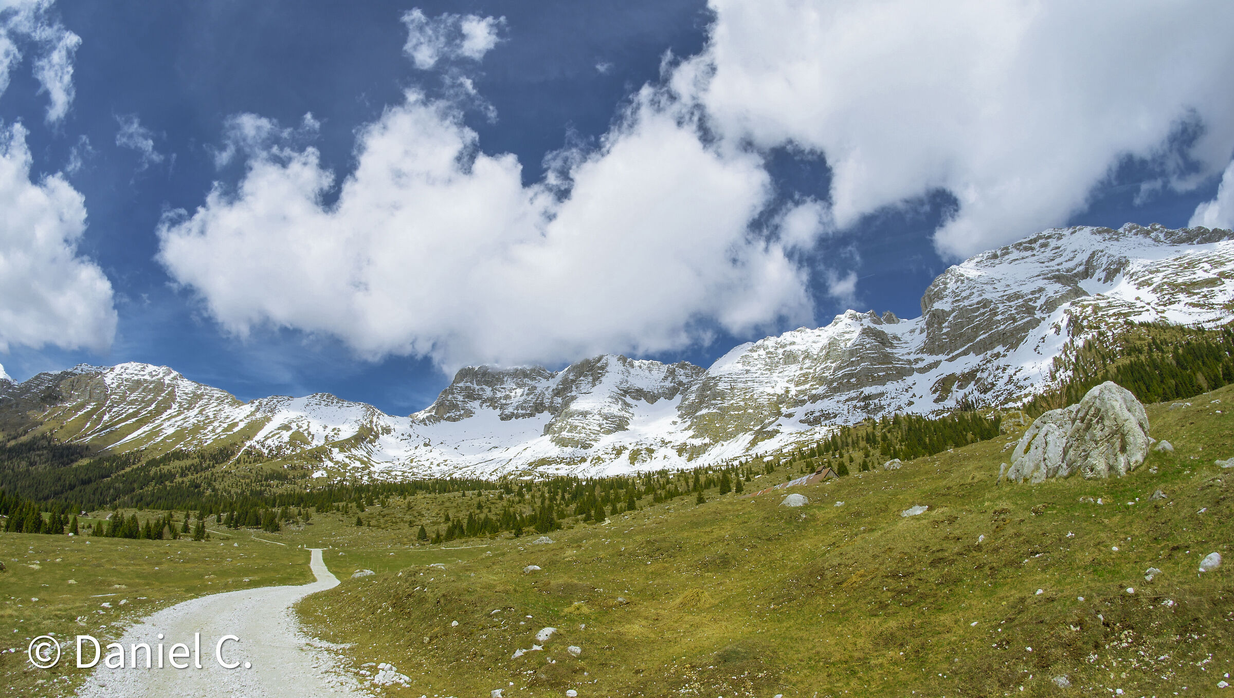 Altopiano del Montasio