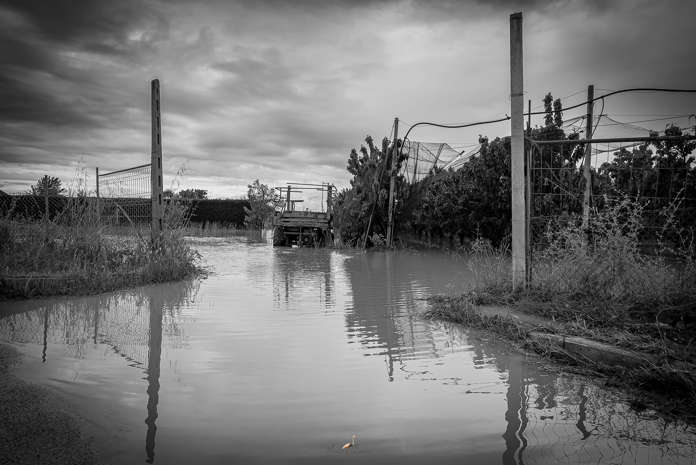 Waters