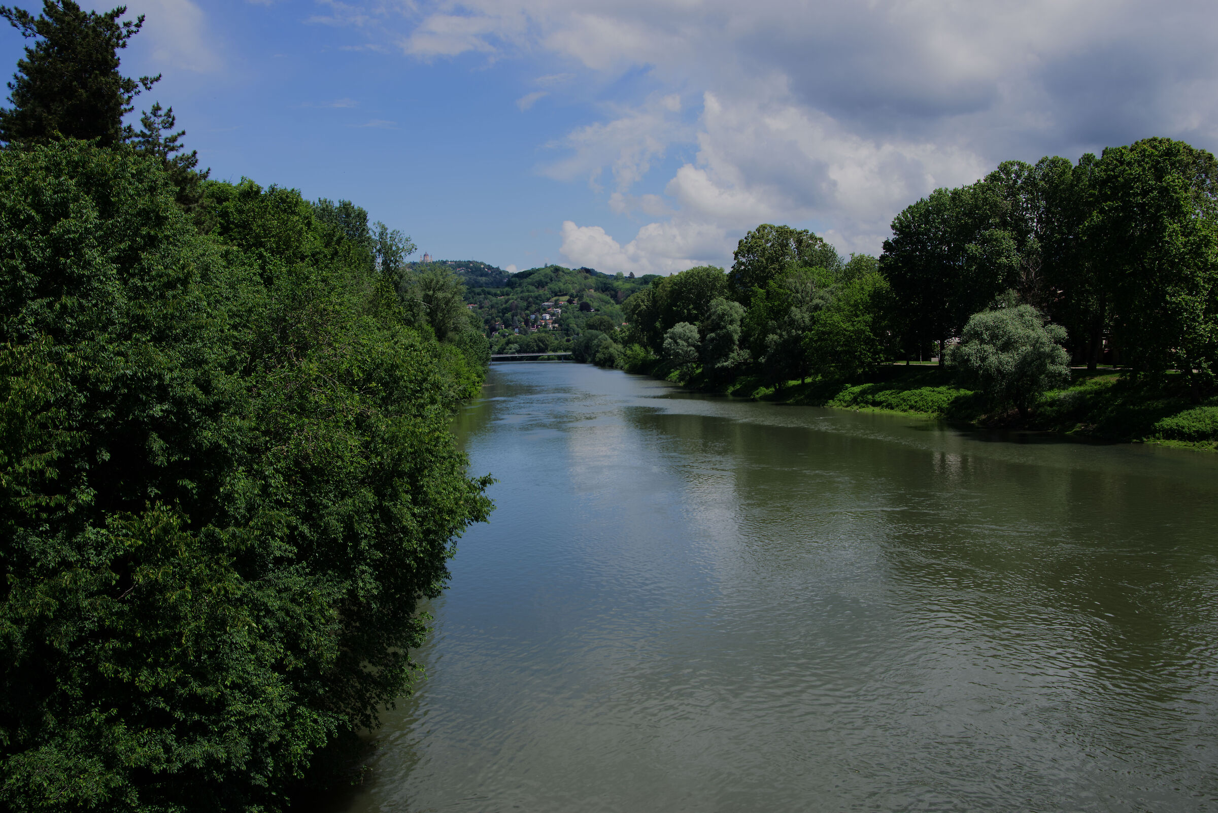 The little has recovered