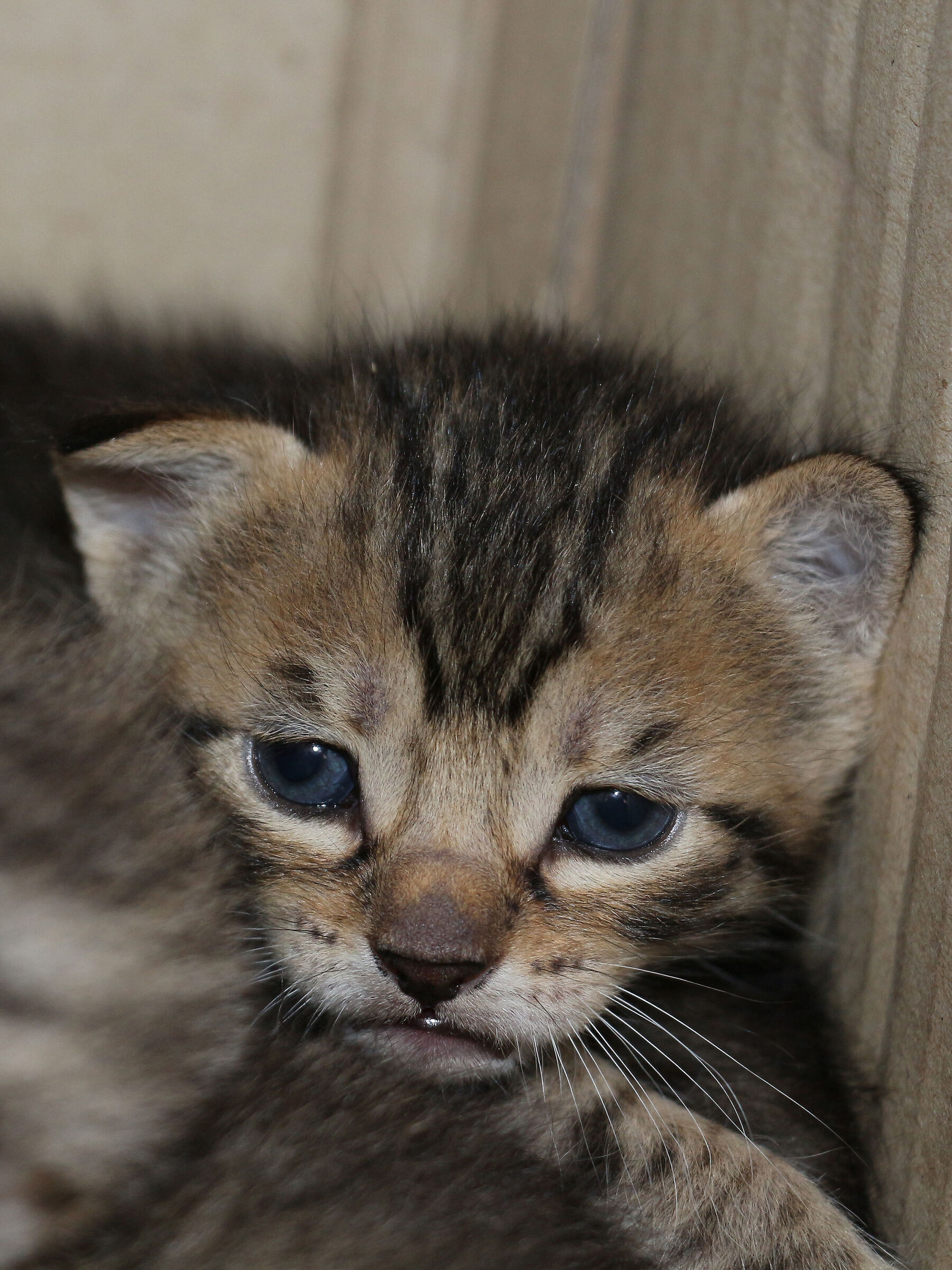 I opened my eyes and saw the world......