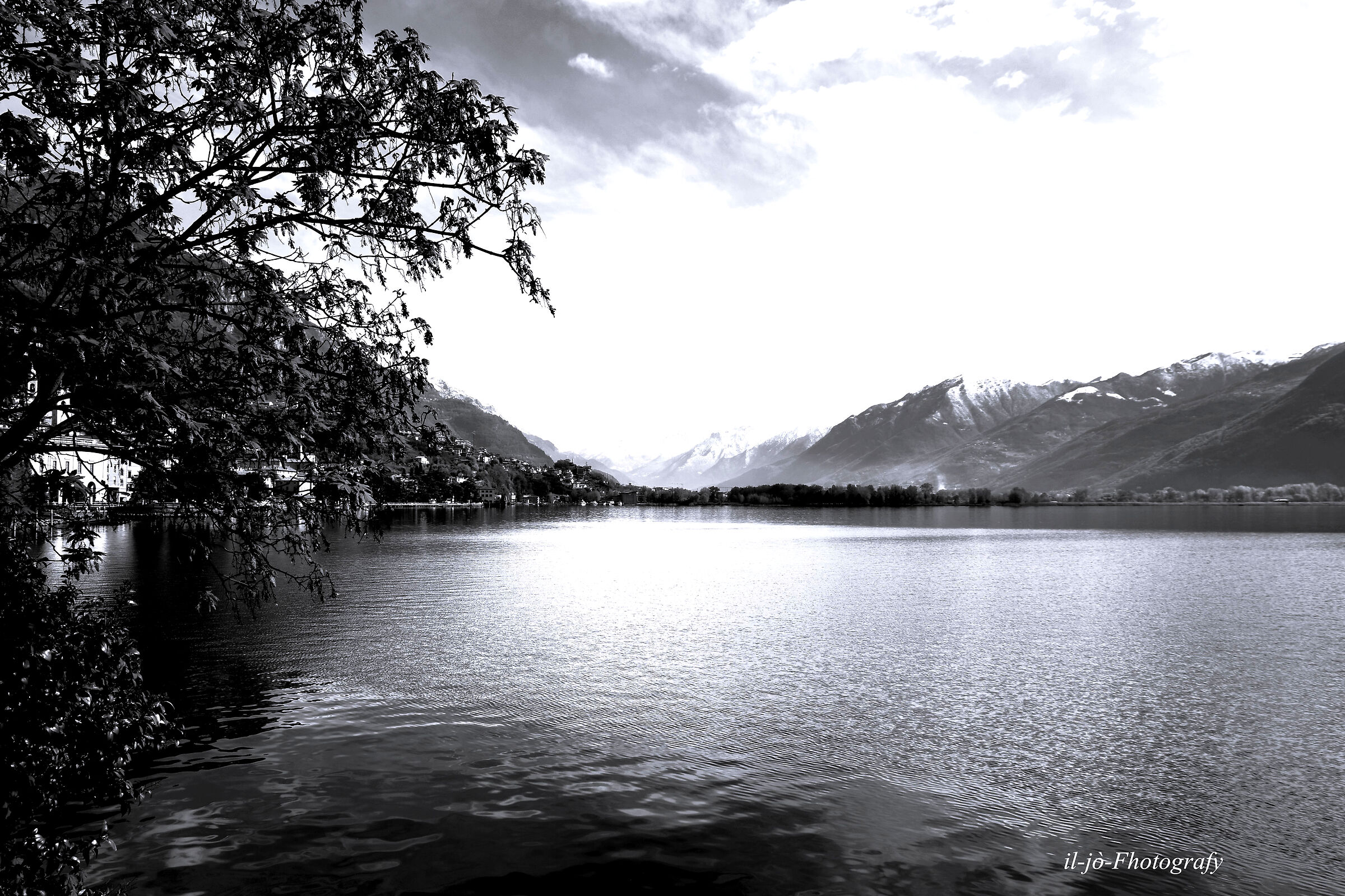 Untitled Photo