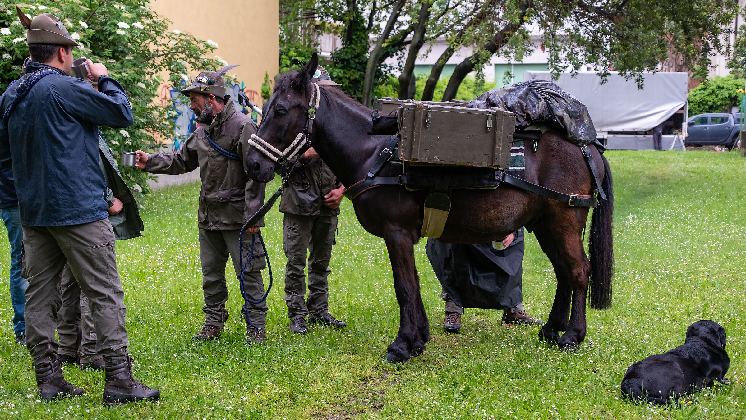 In Attesa di sfilare