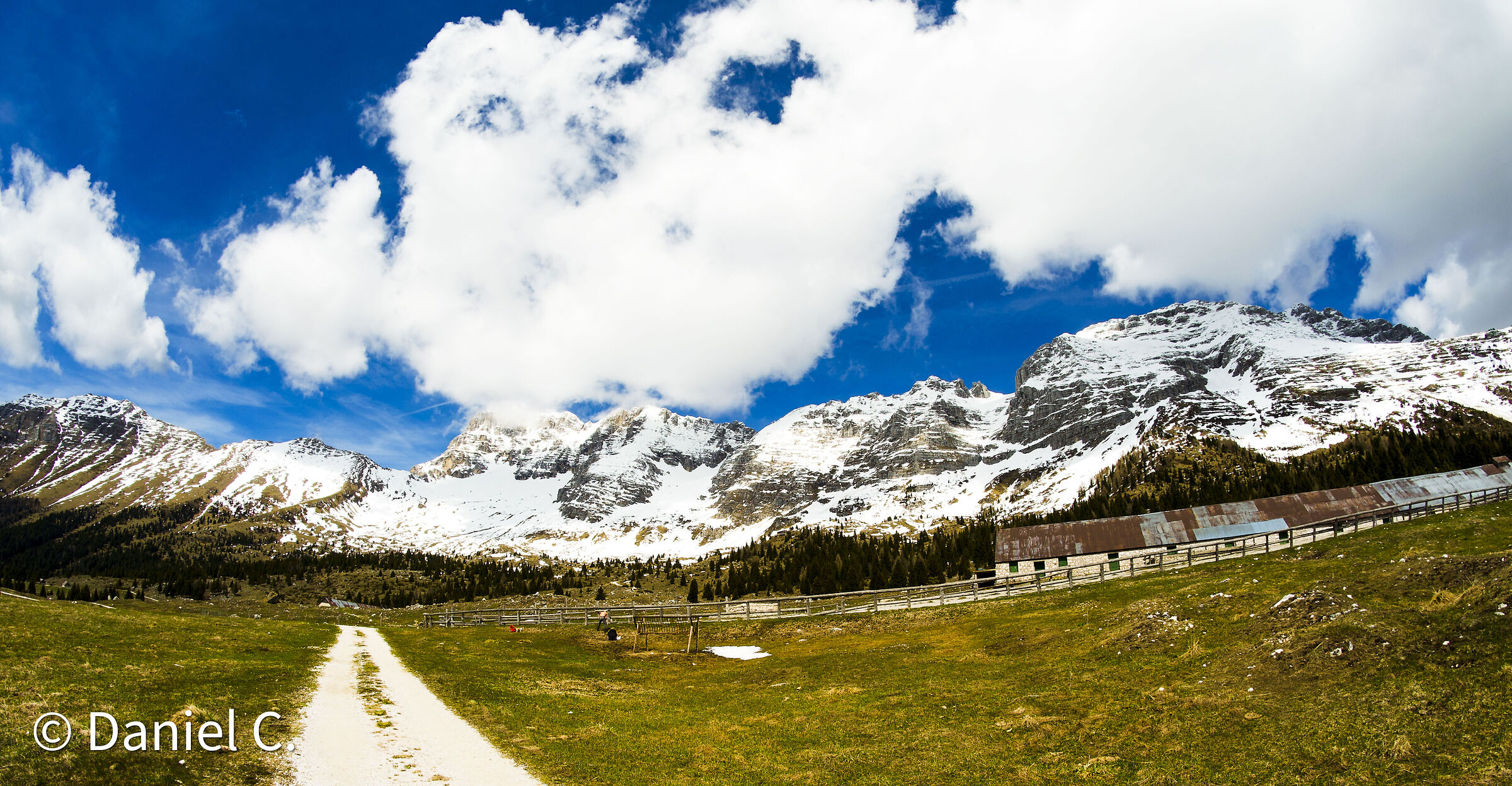 Altopiano del Montasio