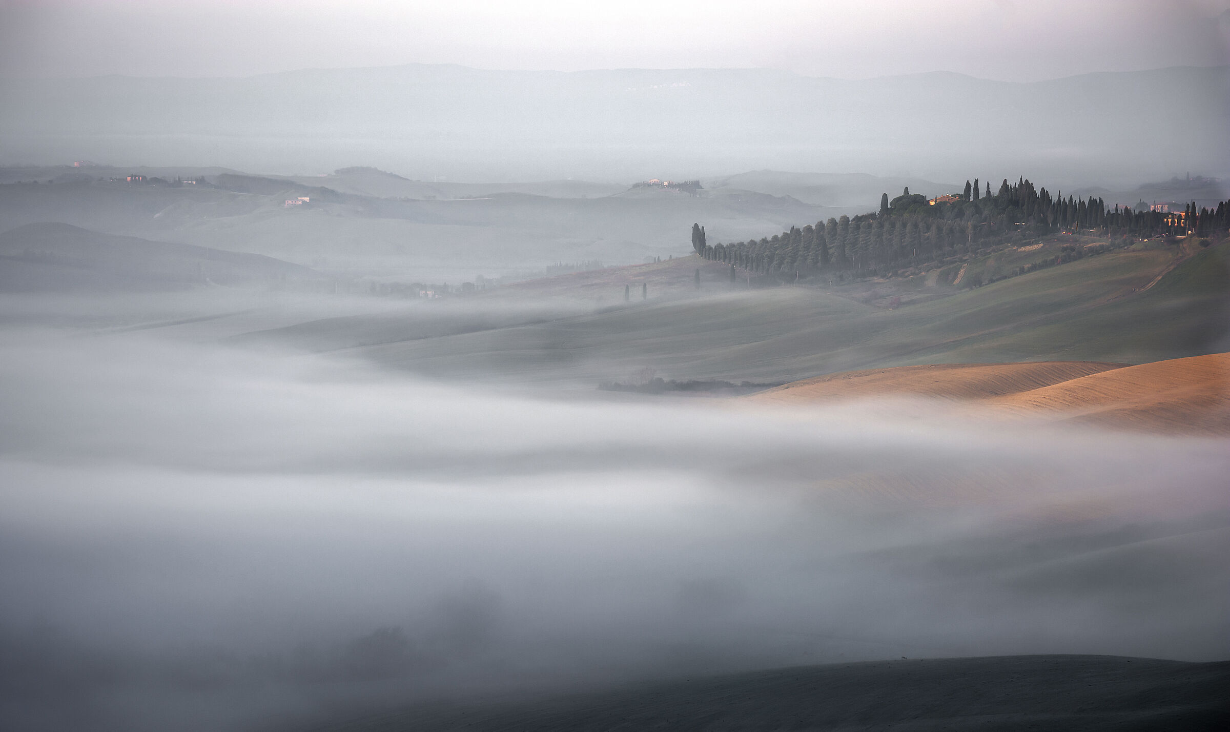 Fog on the Crete Senesi