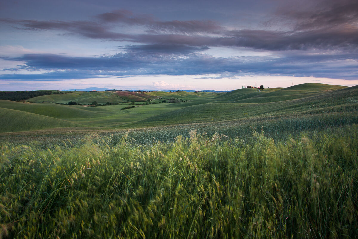 Brezza di maggio ...