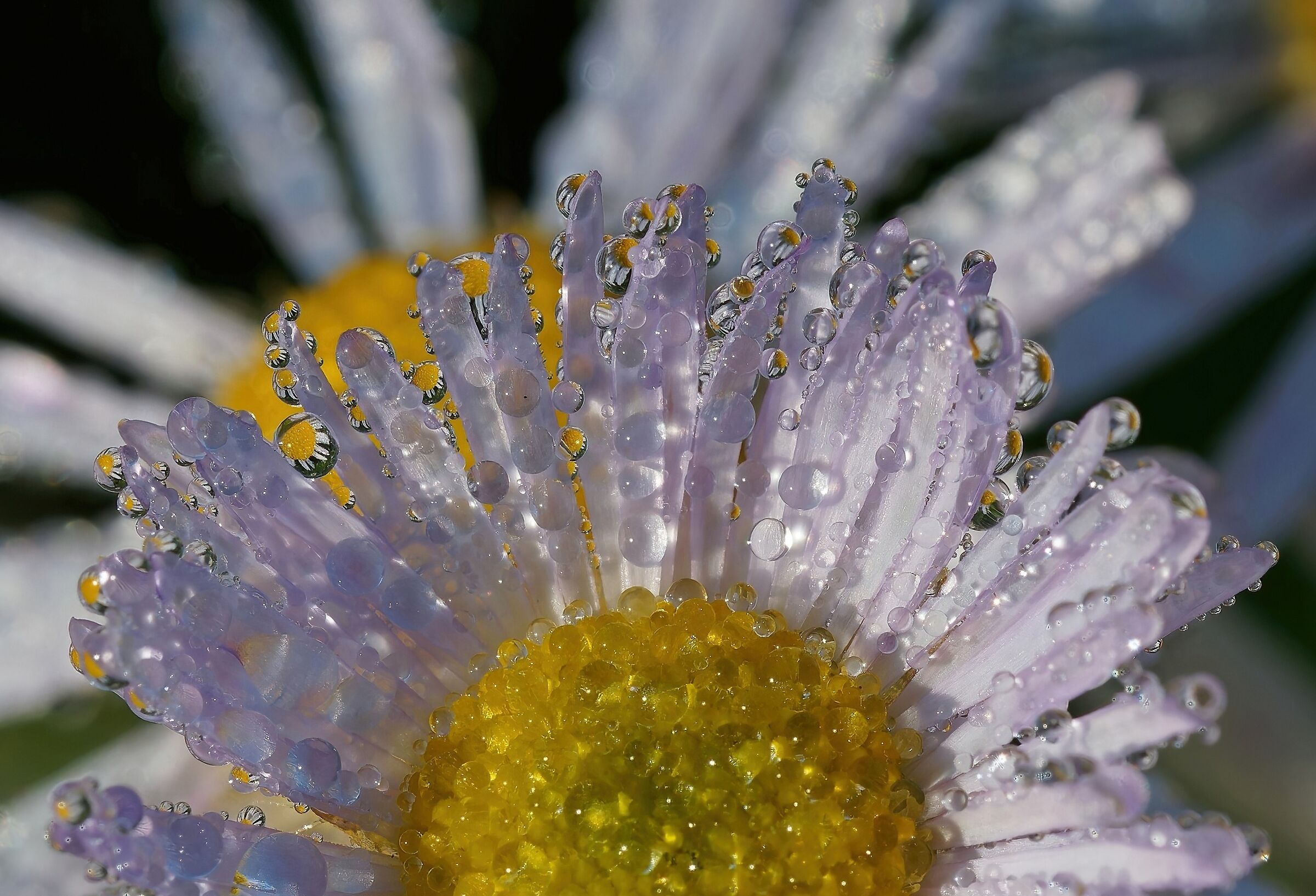 Optical effects