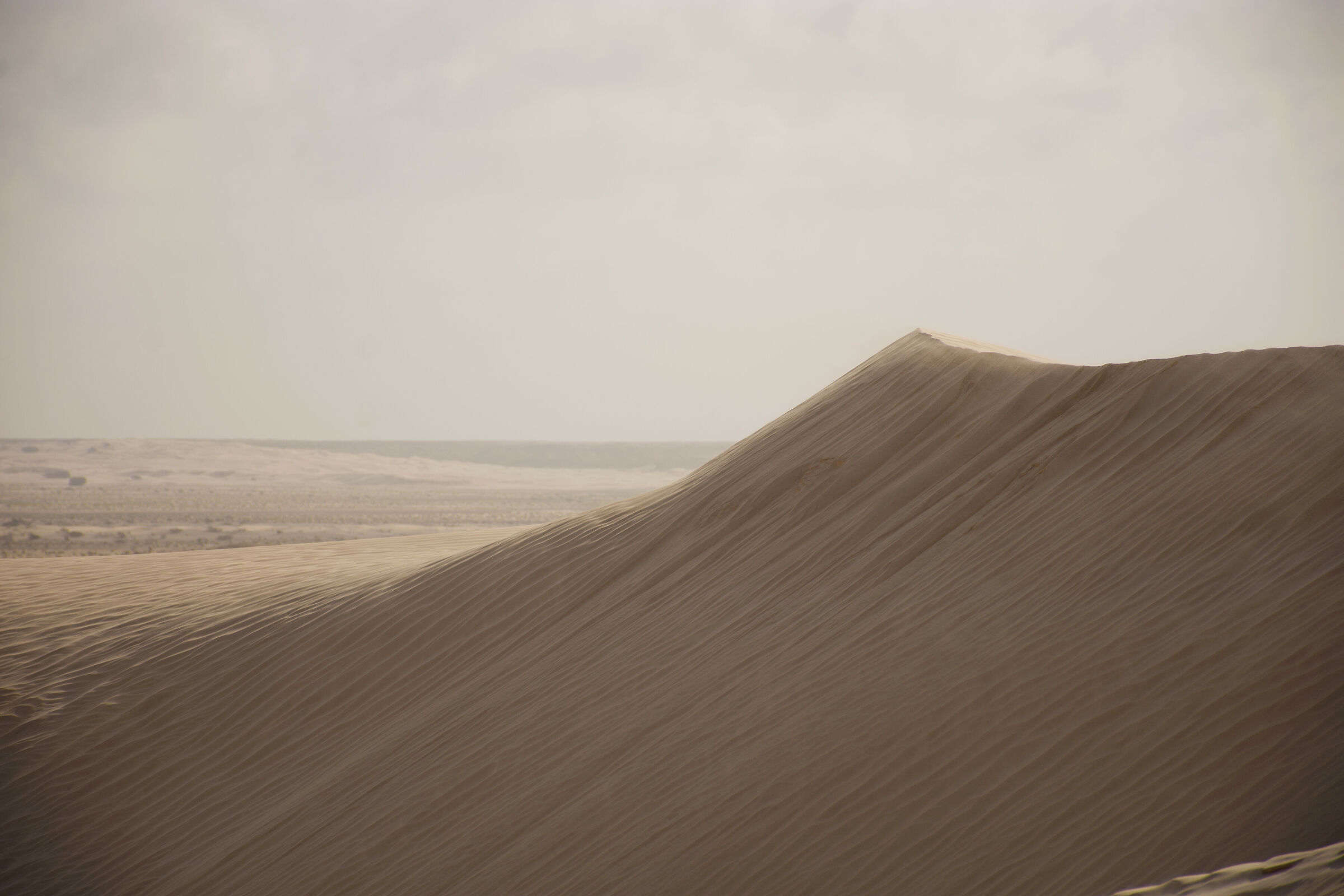 Sugar Dunes