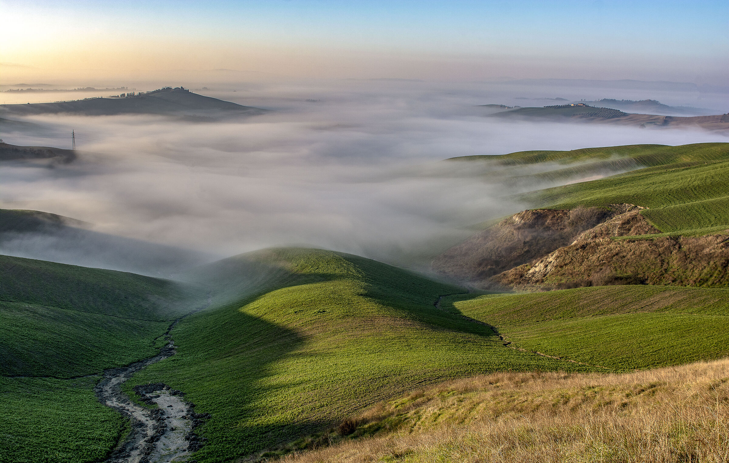 Morning fog on the Crete Senesi