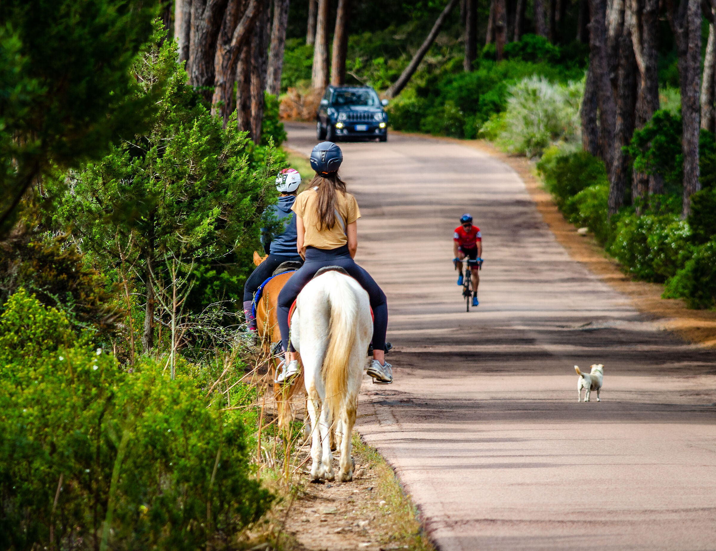 regole di precedenza