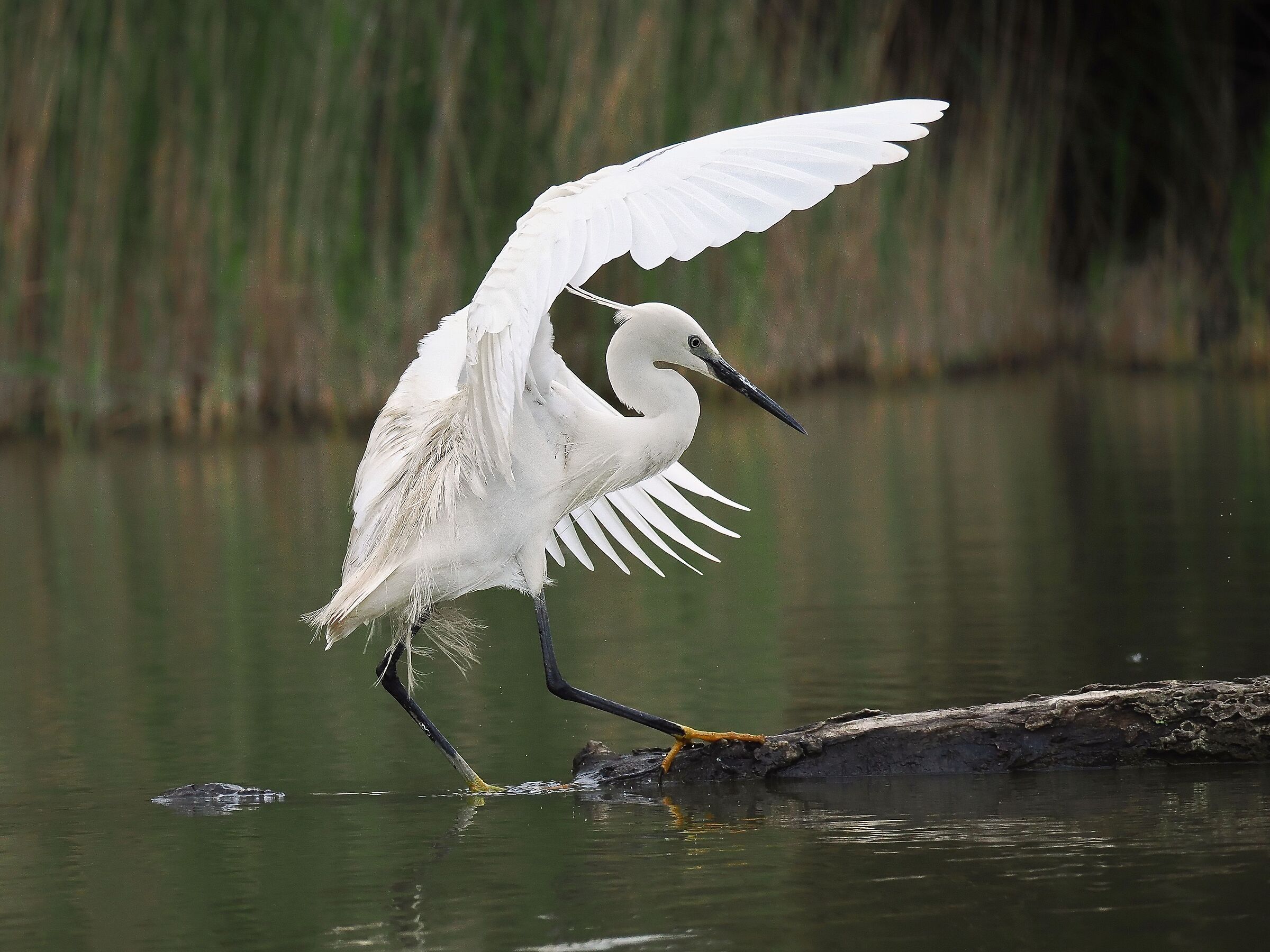 Gentle landing