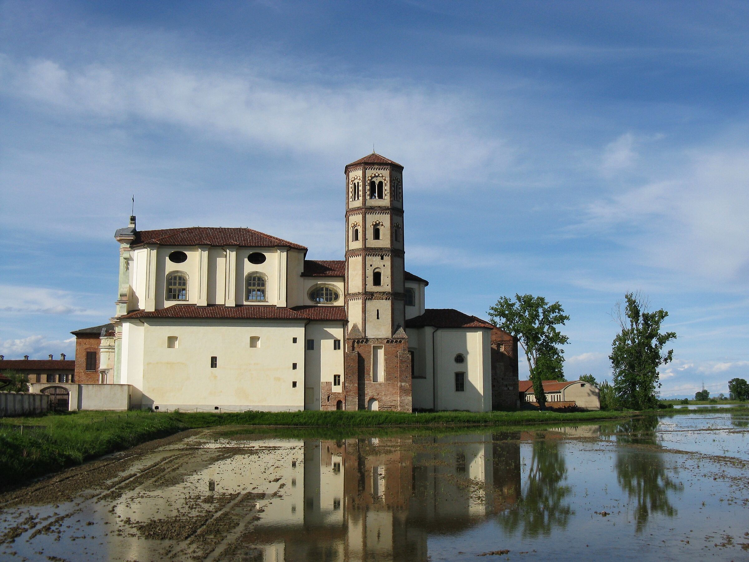 reflections in paddy