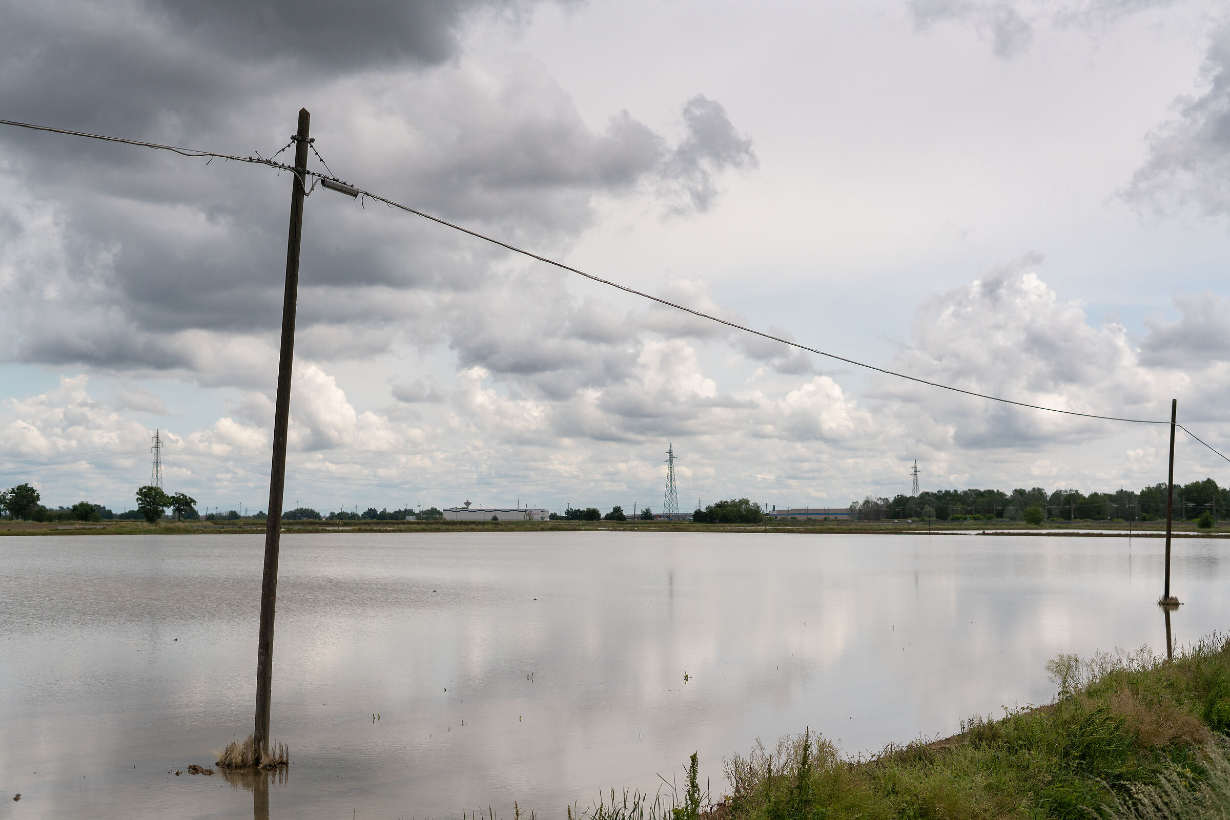 Rice fields